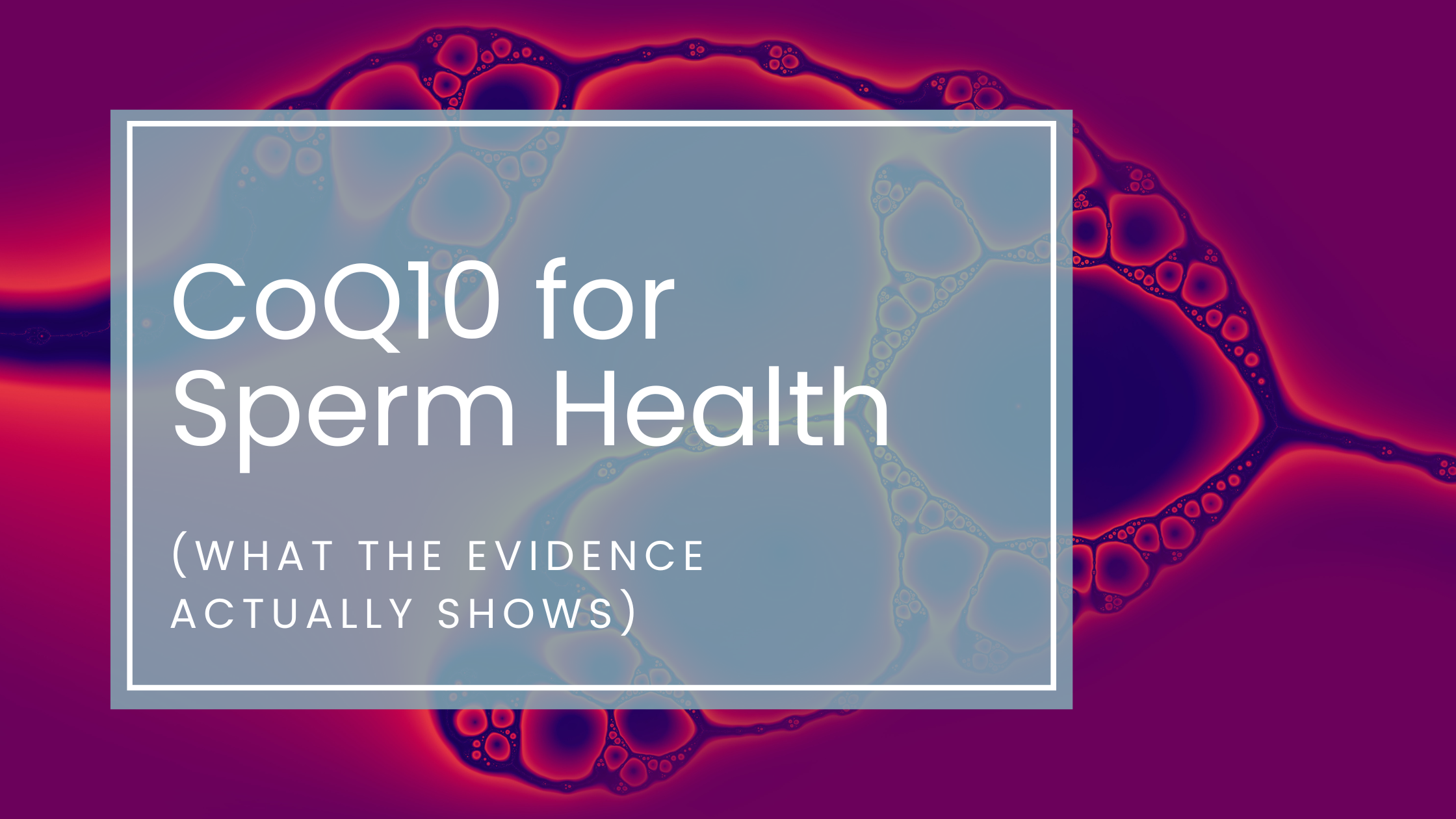 Coenzyme Q10 (CoQ10) for Sperm Health: What the Evidence Actually Shows