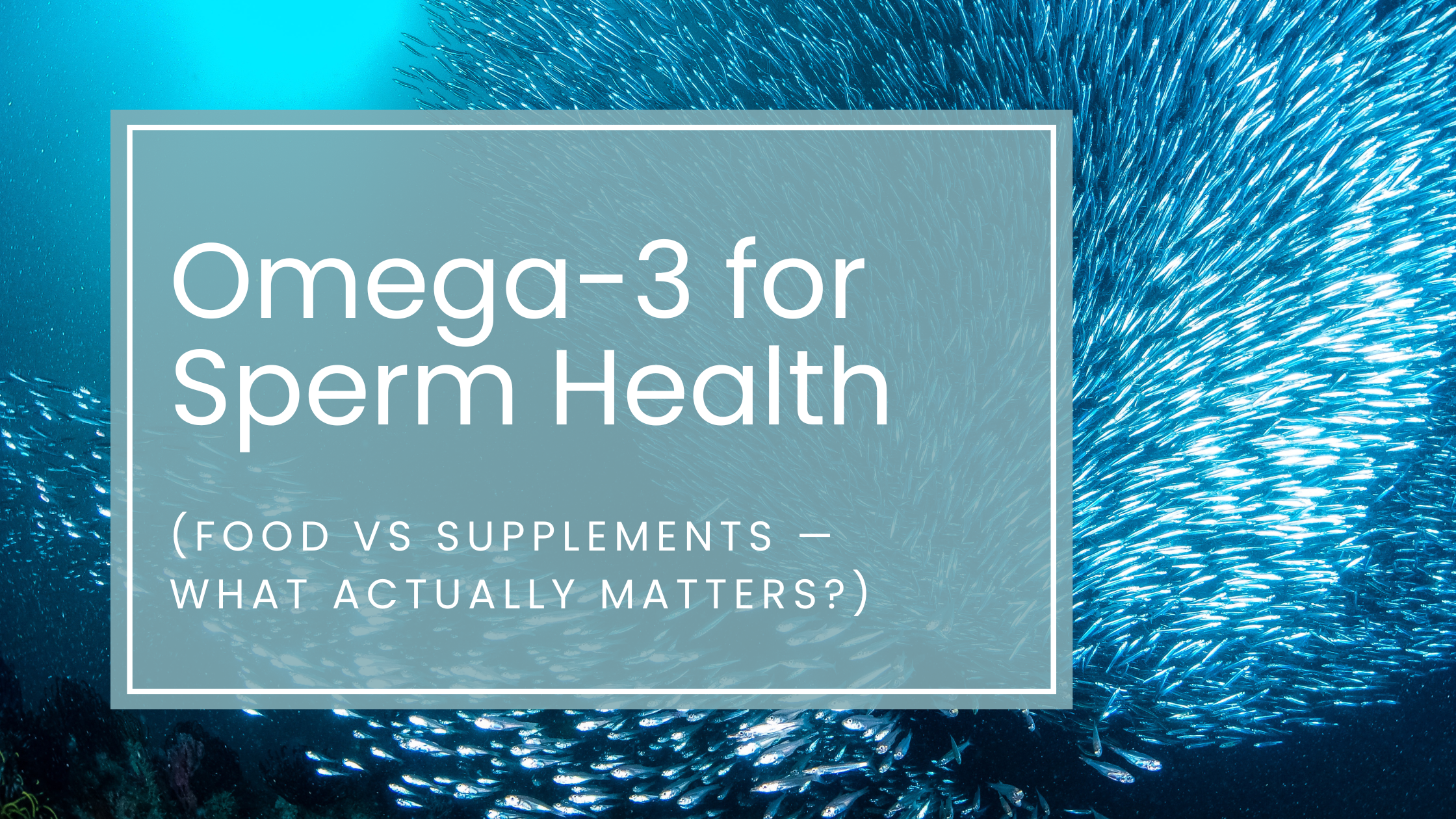 Omega-3 for Sperm Health: Food vs Supplements — What Actually Matters