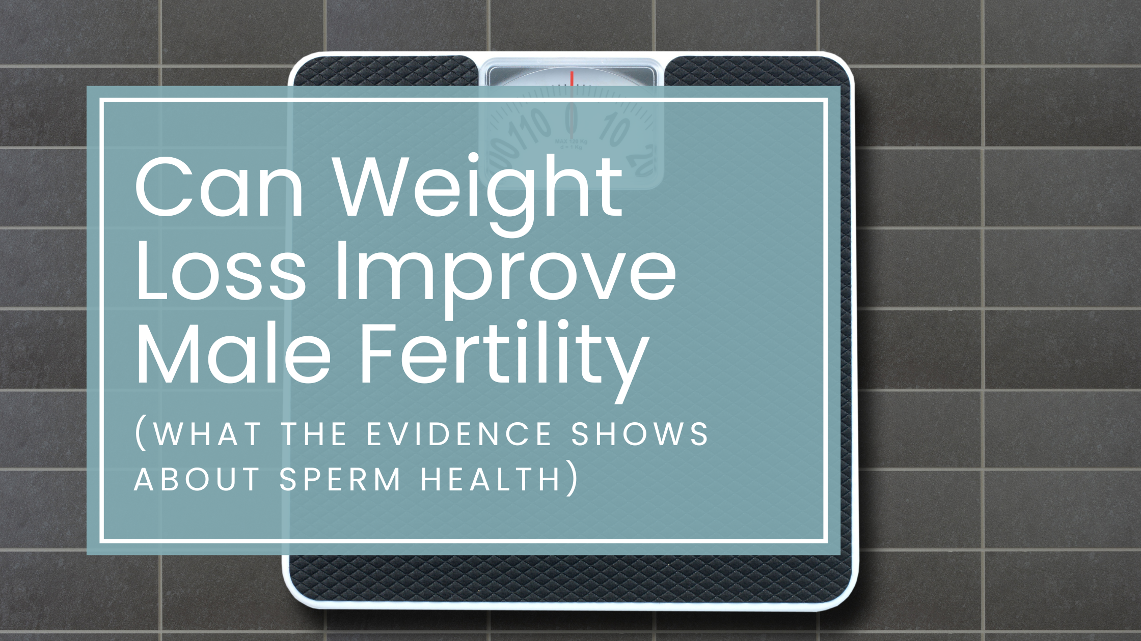 Can Weight Loss Improve Male Fertility? What the Evidence Shows About Sperm Health