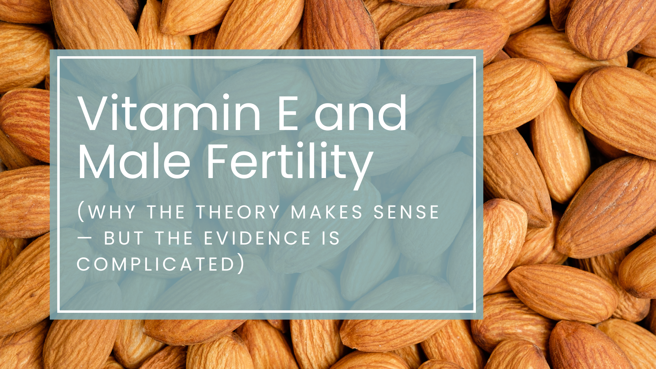 Vitamin E and Male Fertility: Why the Theory Makes Sense — But the Evidence Is Complicated