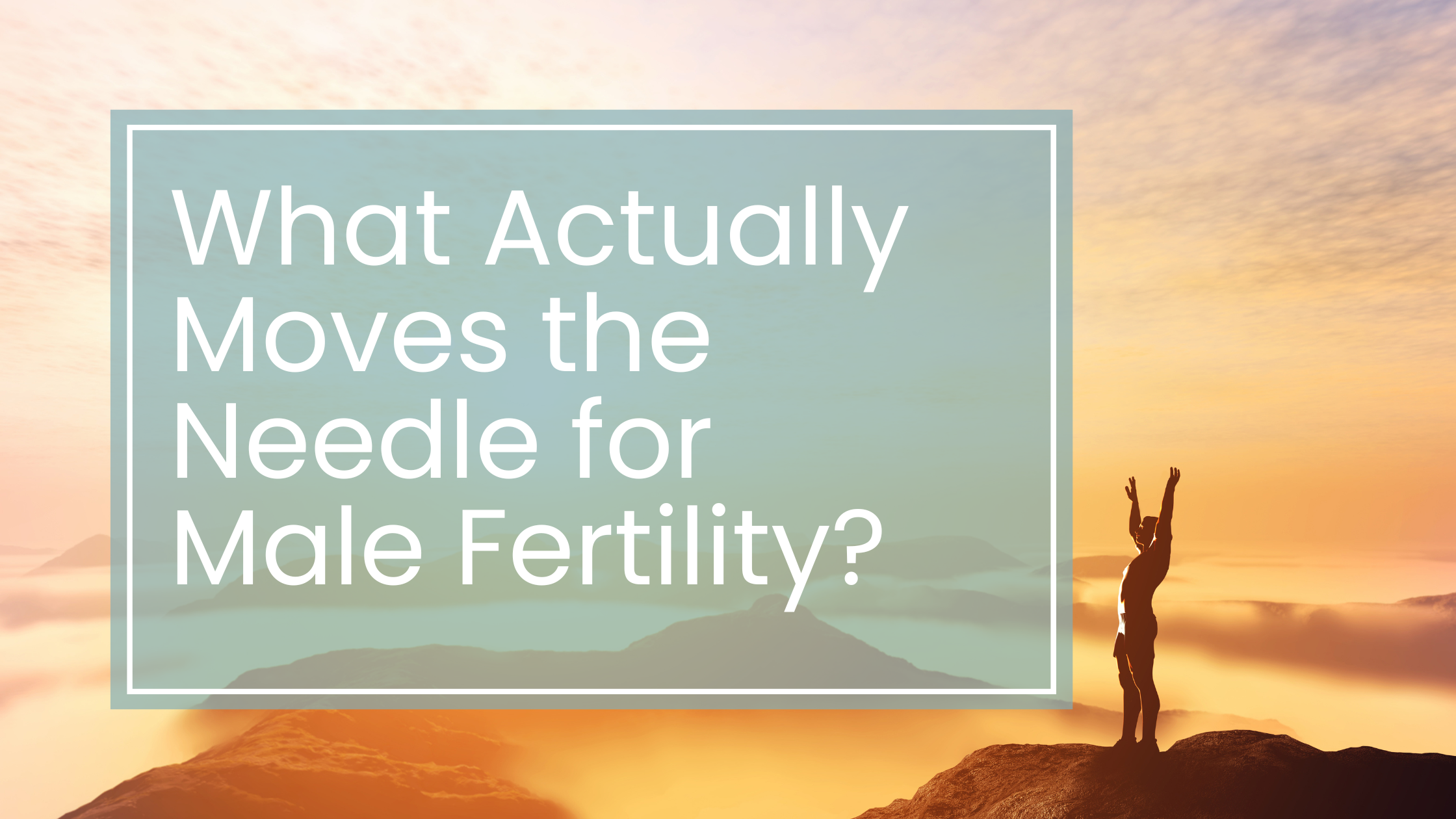 What Actually Moves the Needle for Male Fertility?