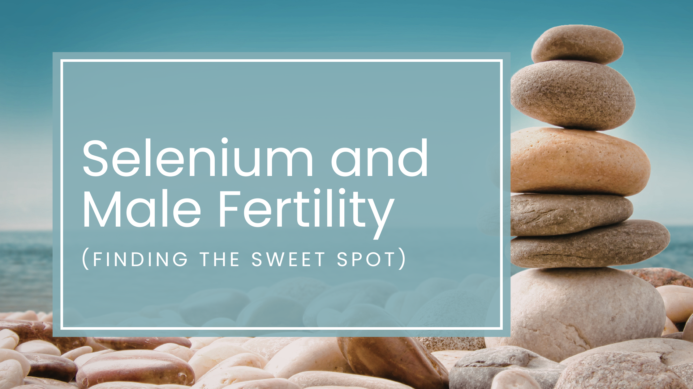 Selenium and Male Fertility: Finding the Sweet Spot