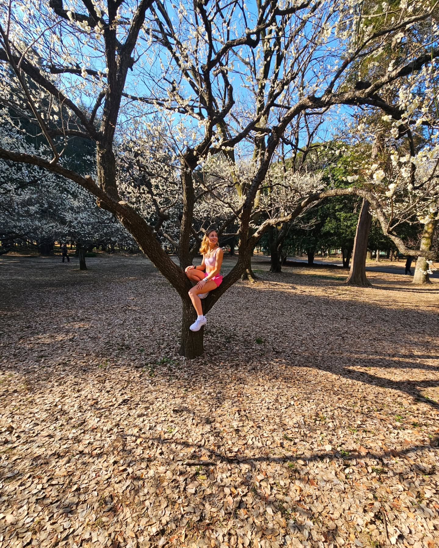 Postcards from Tokyo 📬🇯🇵

#Tokyo #tokyomarathon2025 #japan #tokyo2025 #postcards #postcardsfromtheworld #traveler #travelling #explore #letsdothis