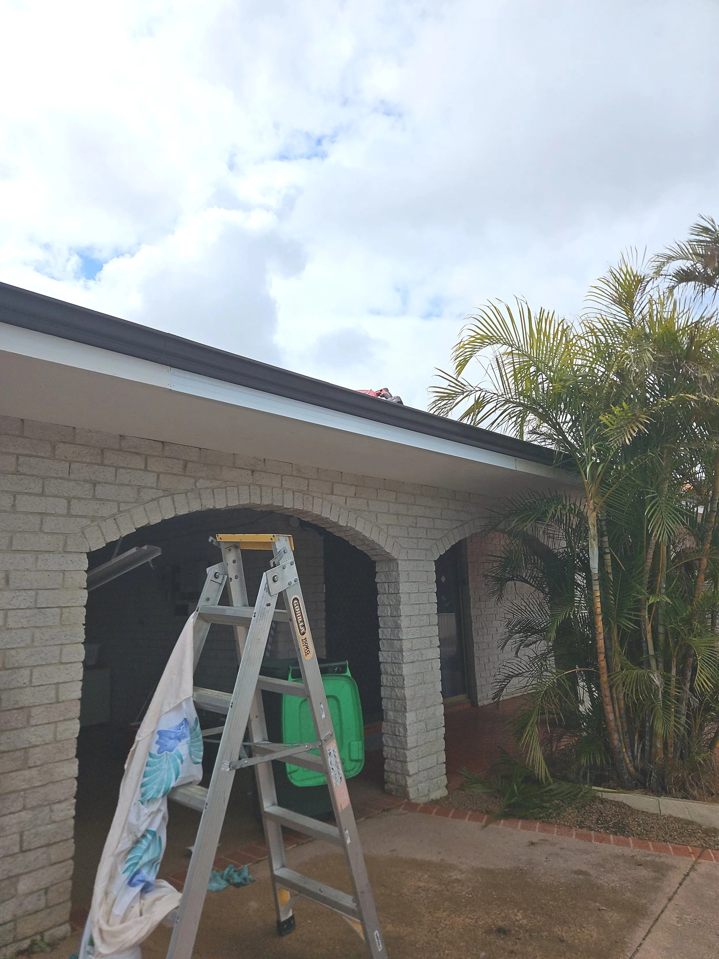 Ladder set up outside a house under a cloudy sky, with a towel hanging on the ladder and a green trash bin nearby, next to a palm tree and brick walkway.