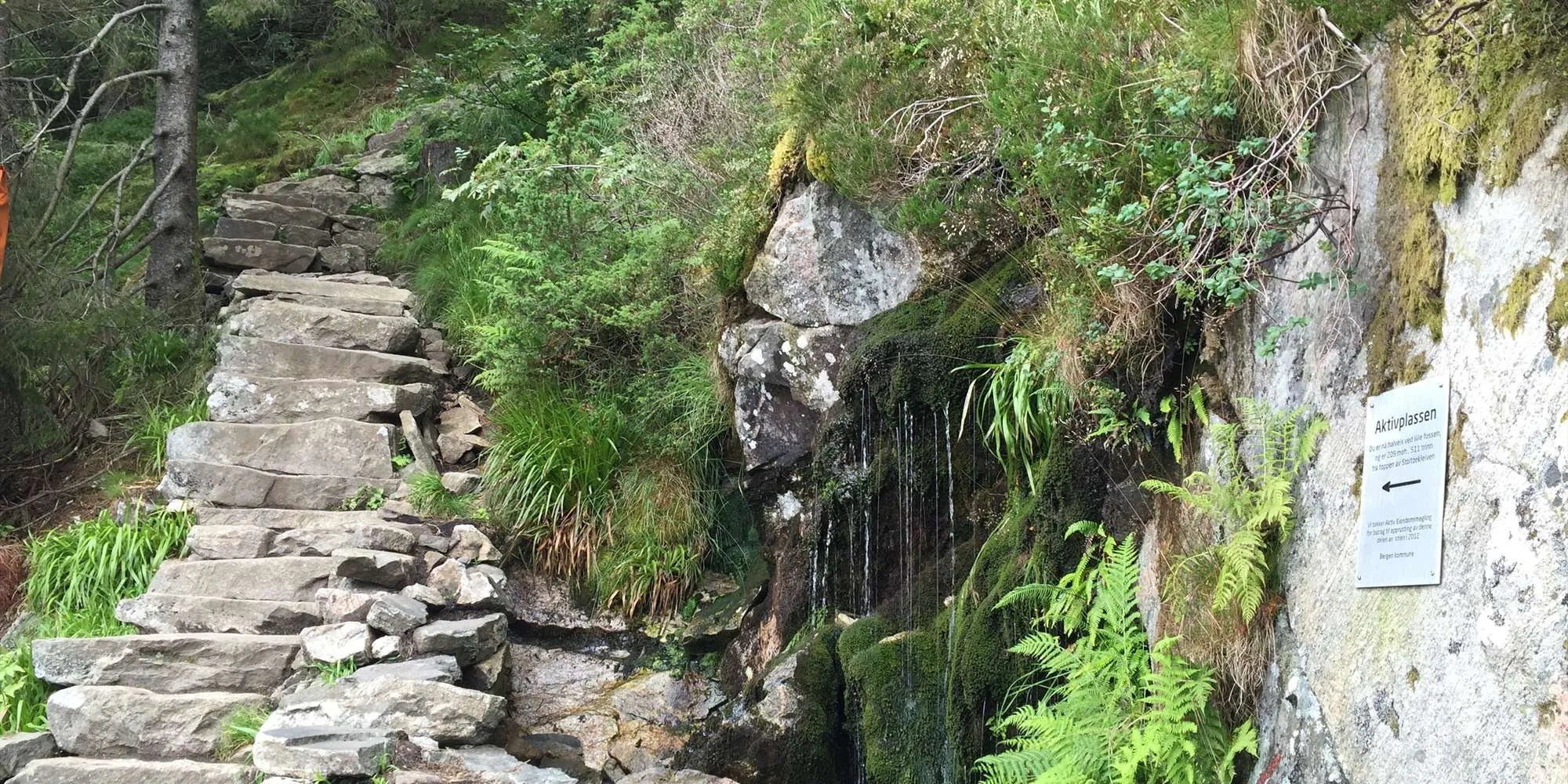 en.visitbergen-2.jpg