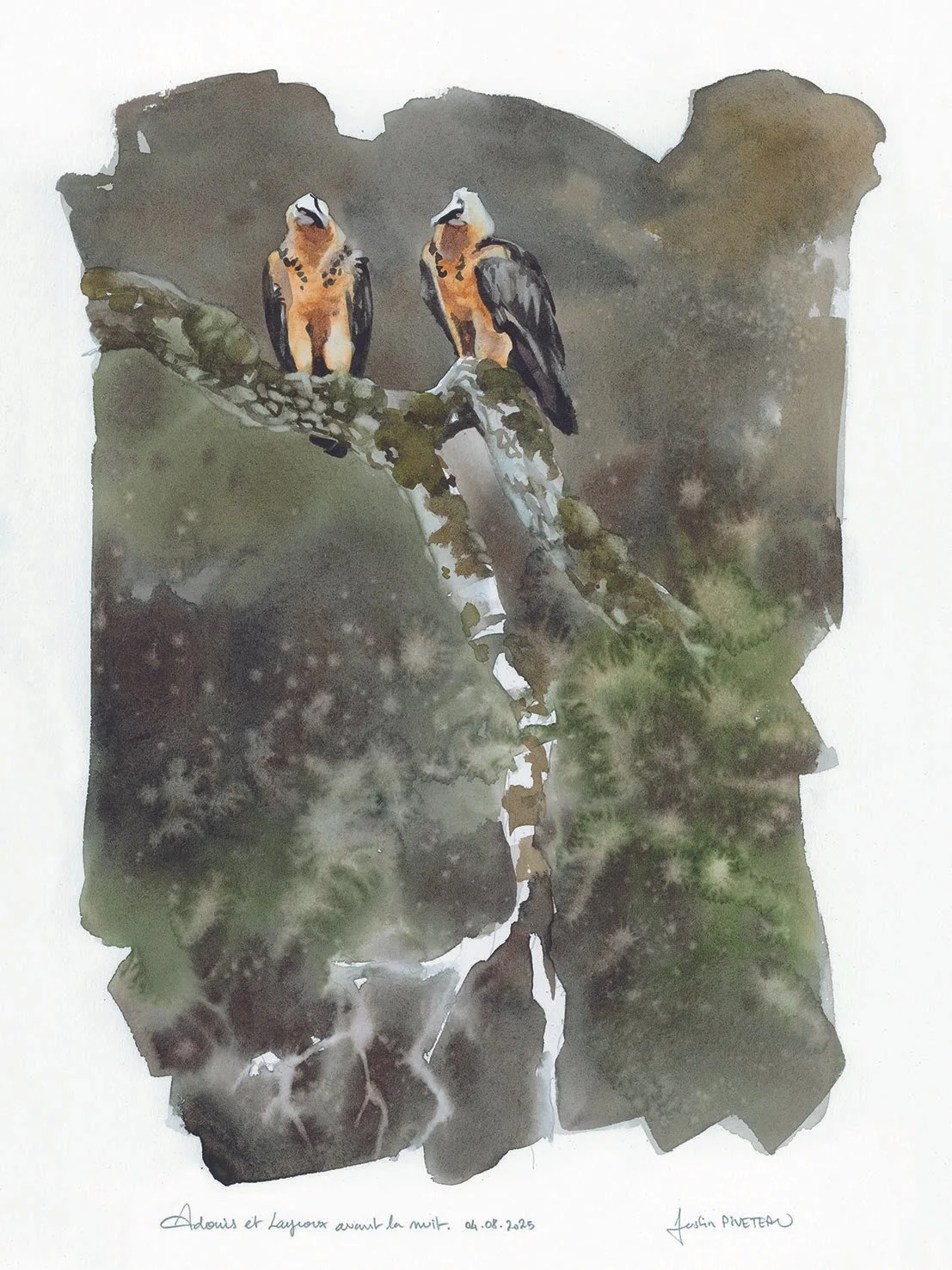 GYPAETES - BRANCHE.jpg