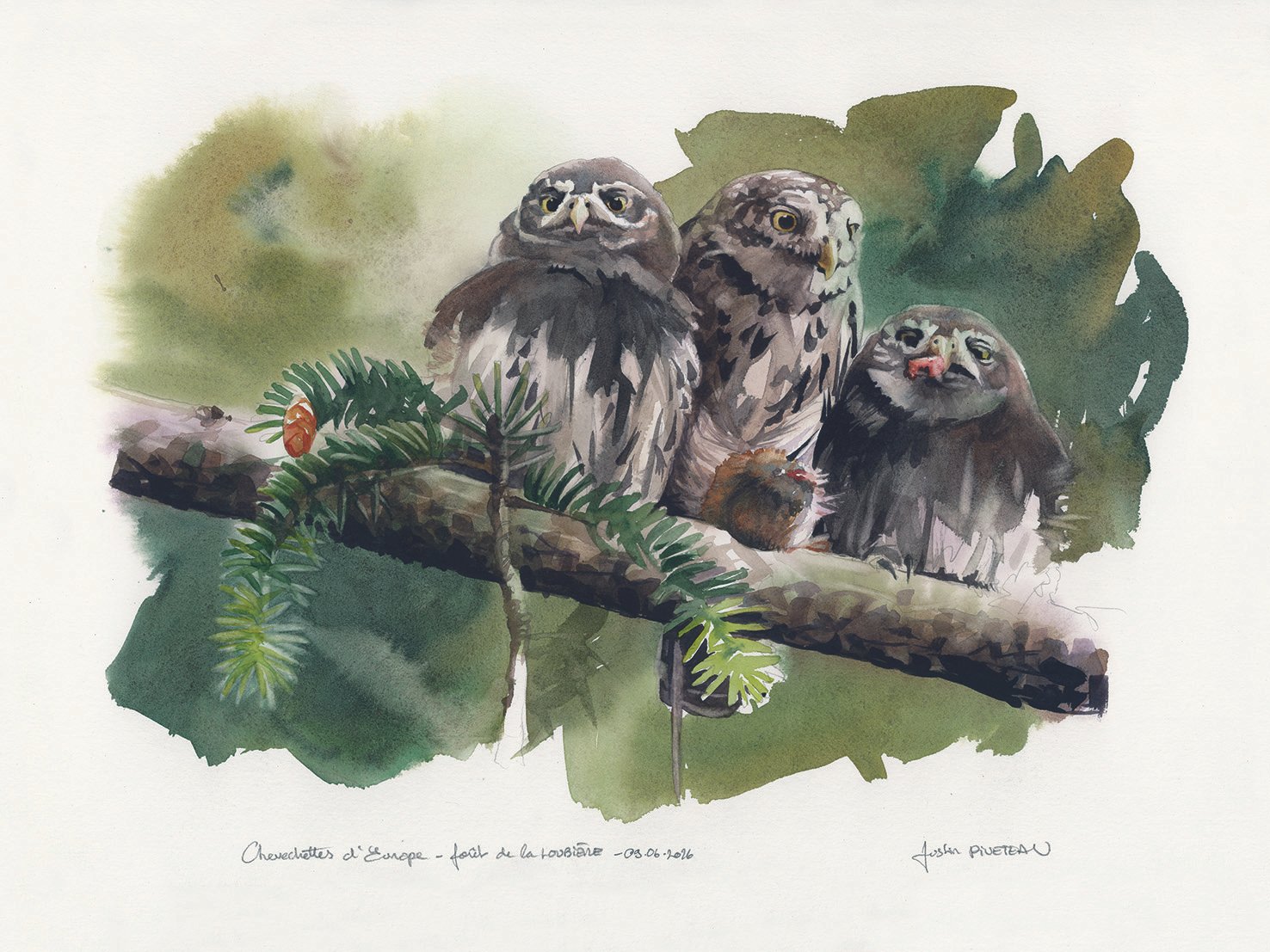 CHEVECHETTES-trio.jpg