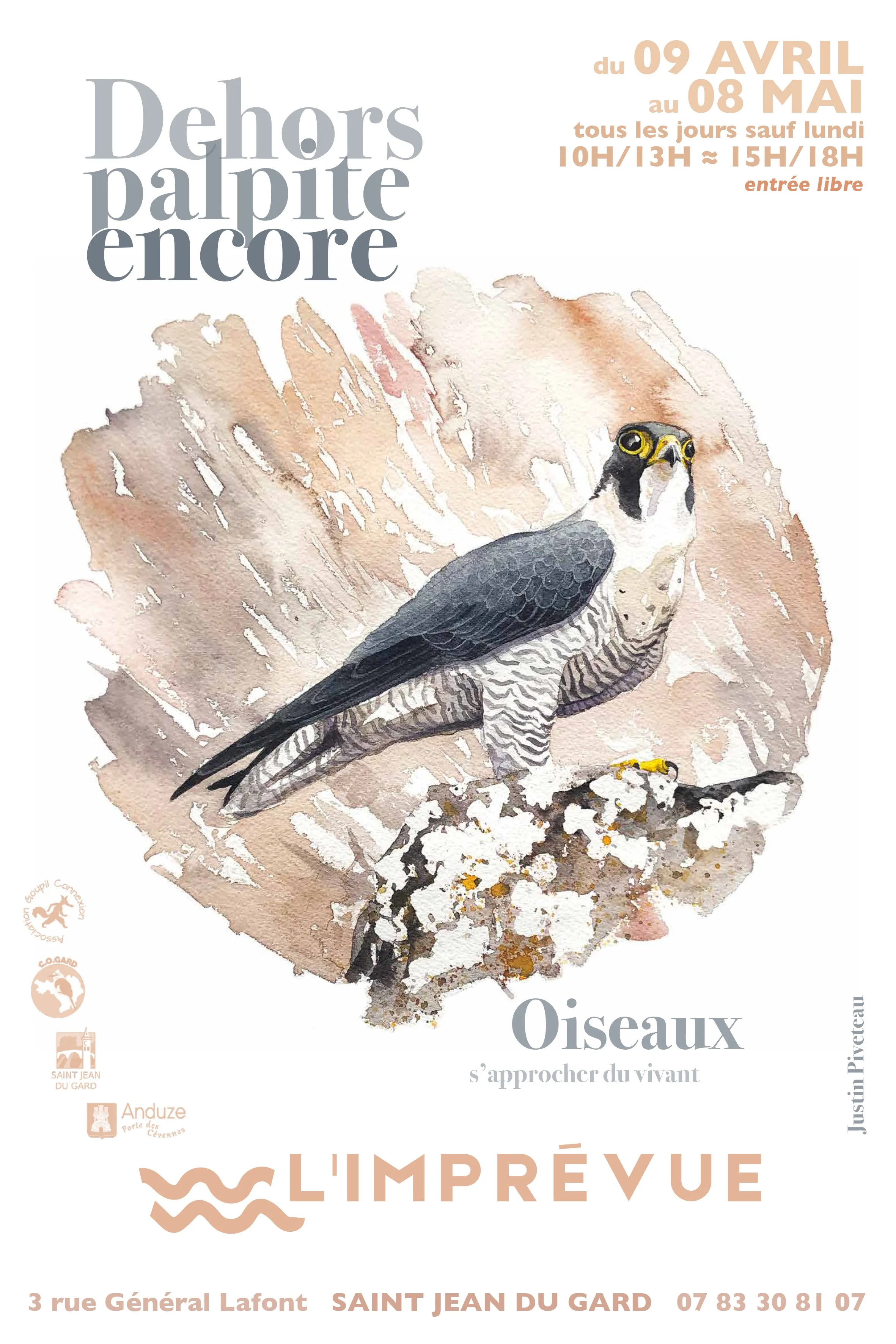 DEHORS PALPITE ENCORE.jpg