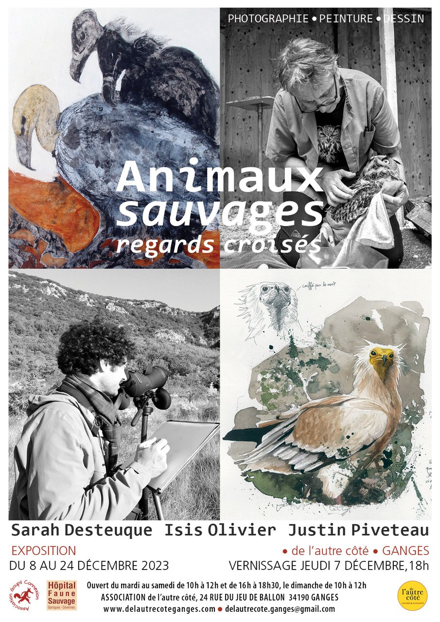 expo animaux sauvages.jpeg