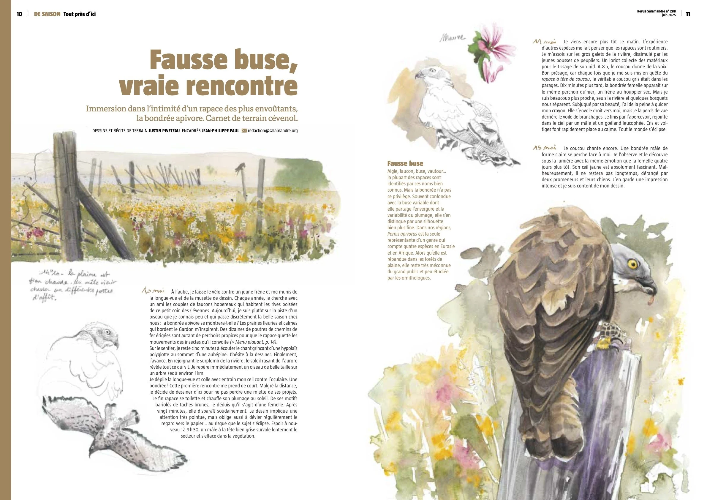 1 TPI Bondrée Justin Piveteau août 2025.jpg