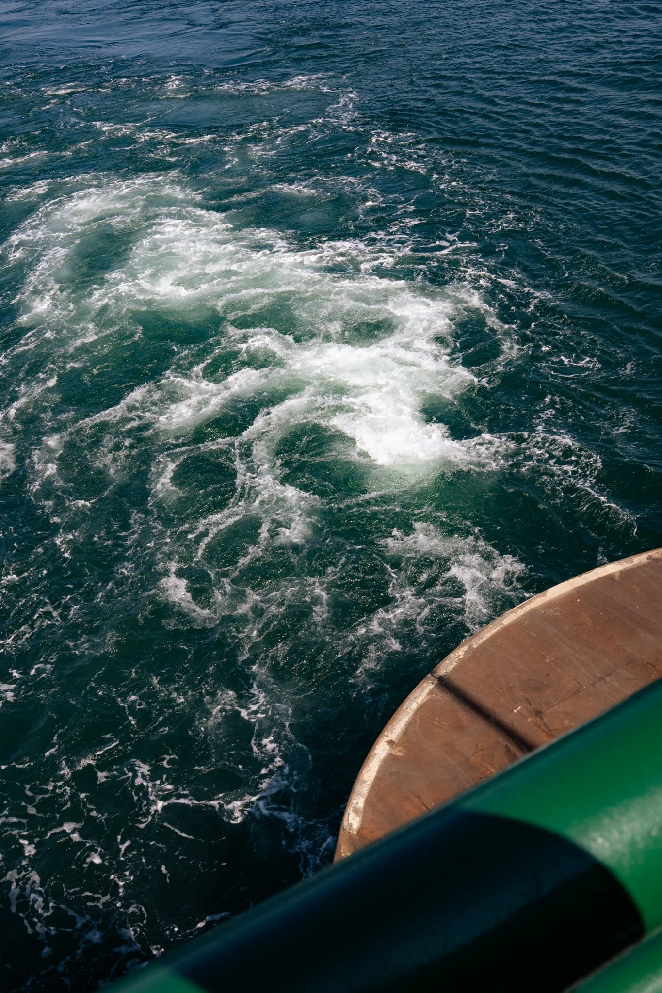 SEA-FRY-4.jpg