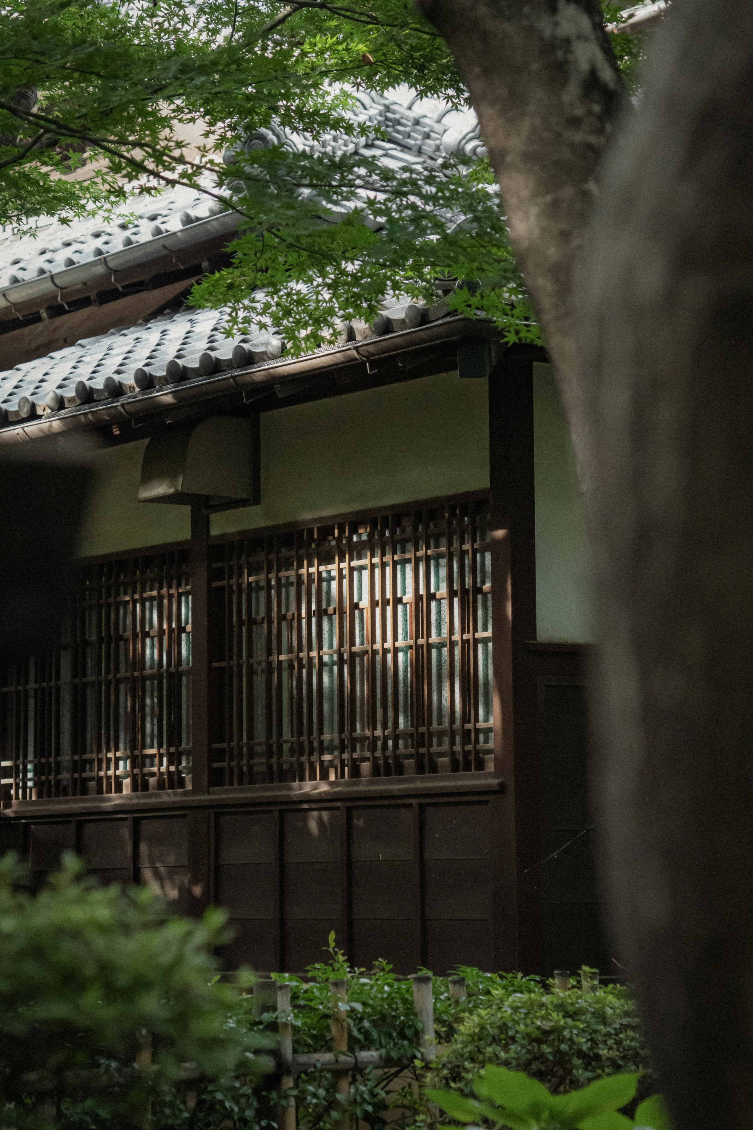 Tokyo-Asakura-14.jpg