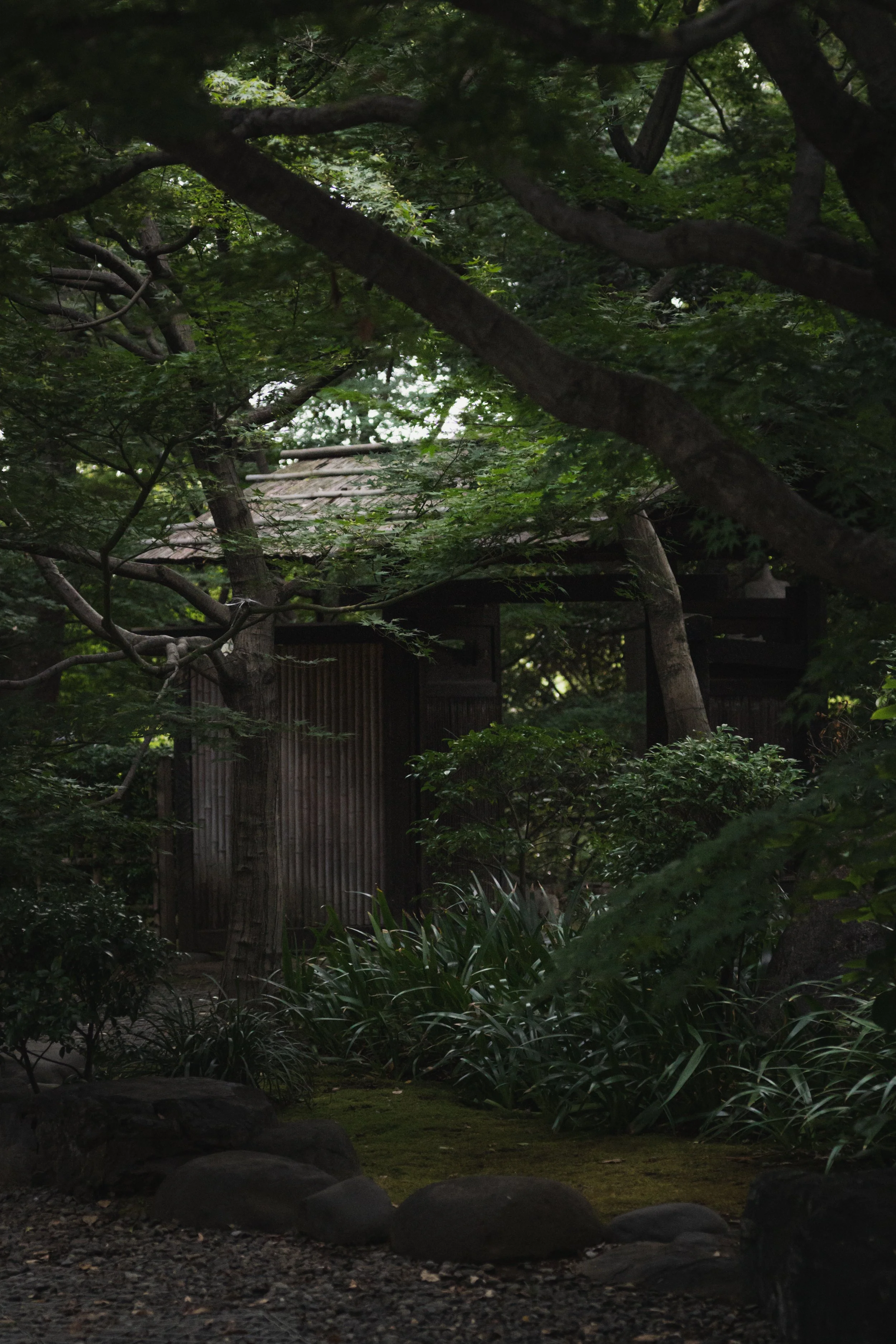 Tokyo-Asakura-01.jpg