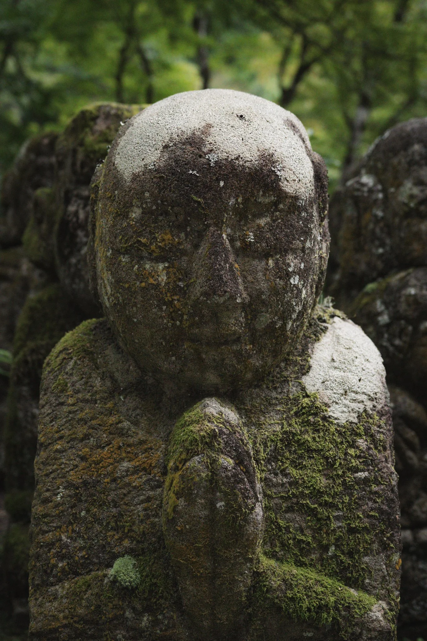 KYO-OTA-8.jpg