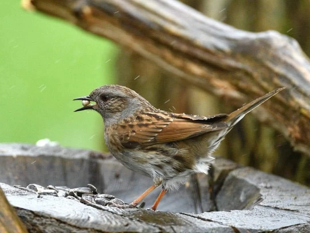 Bonne Saint Valentin !
