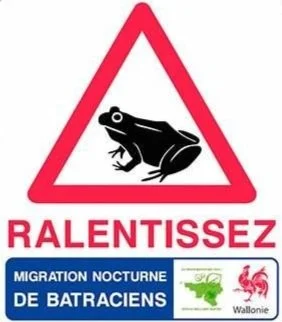 Migration des amphibiens…levez le pied !