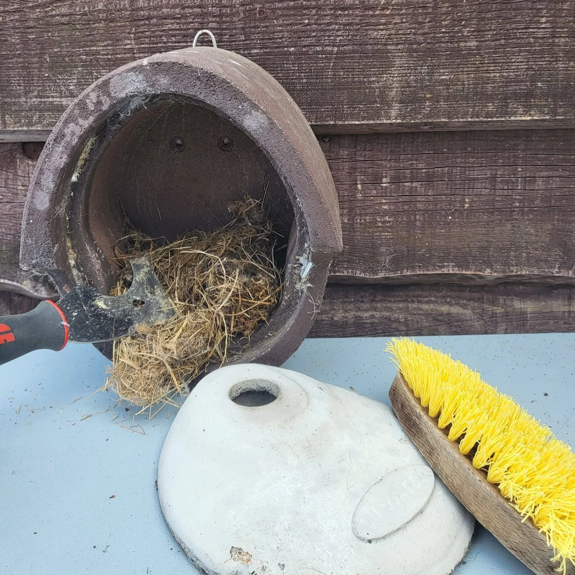 Nettoyage des nichoirs : c’est le bon moment !