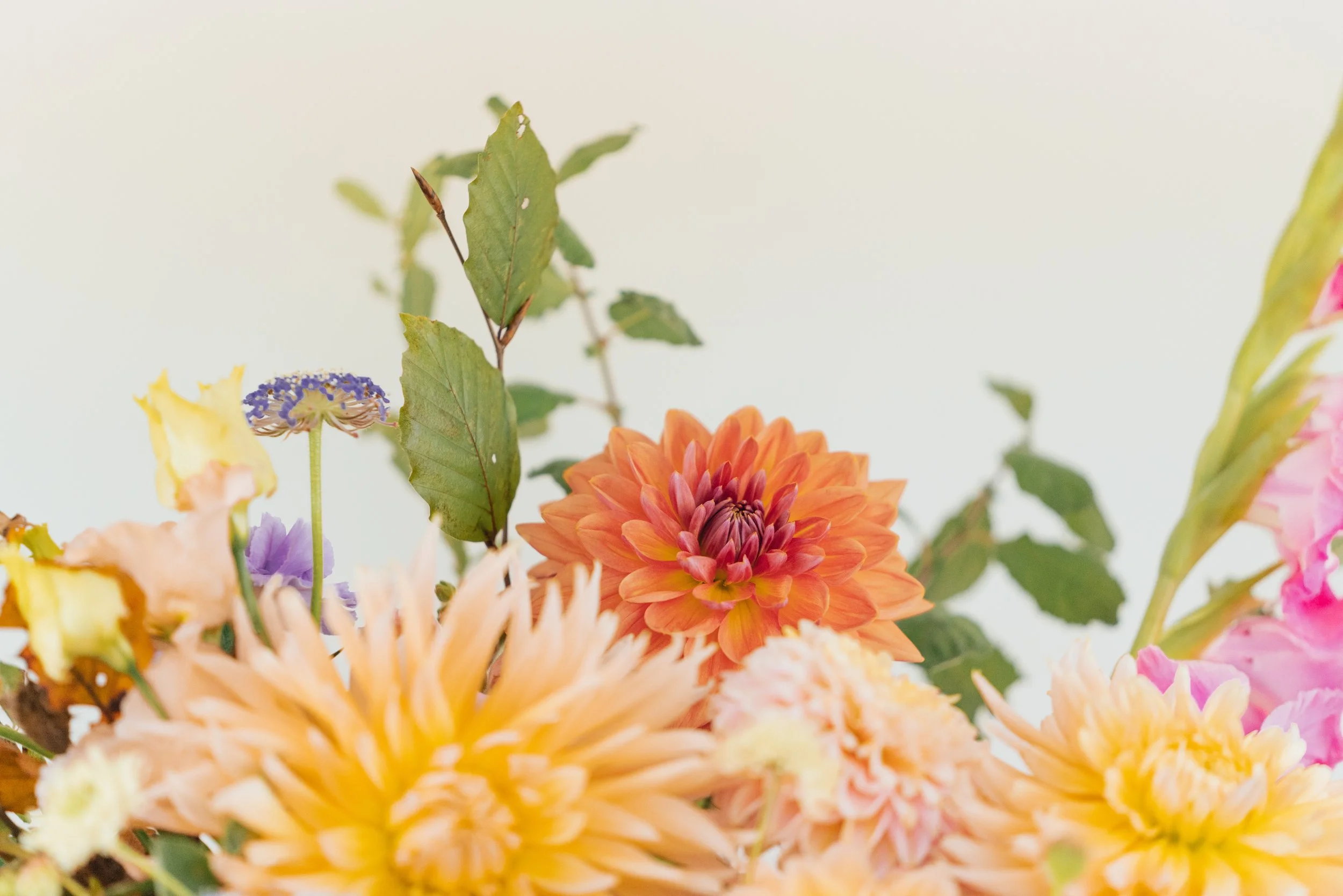 Grace's Flowers _ Aeon Creative-1 copy.jpeg