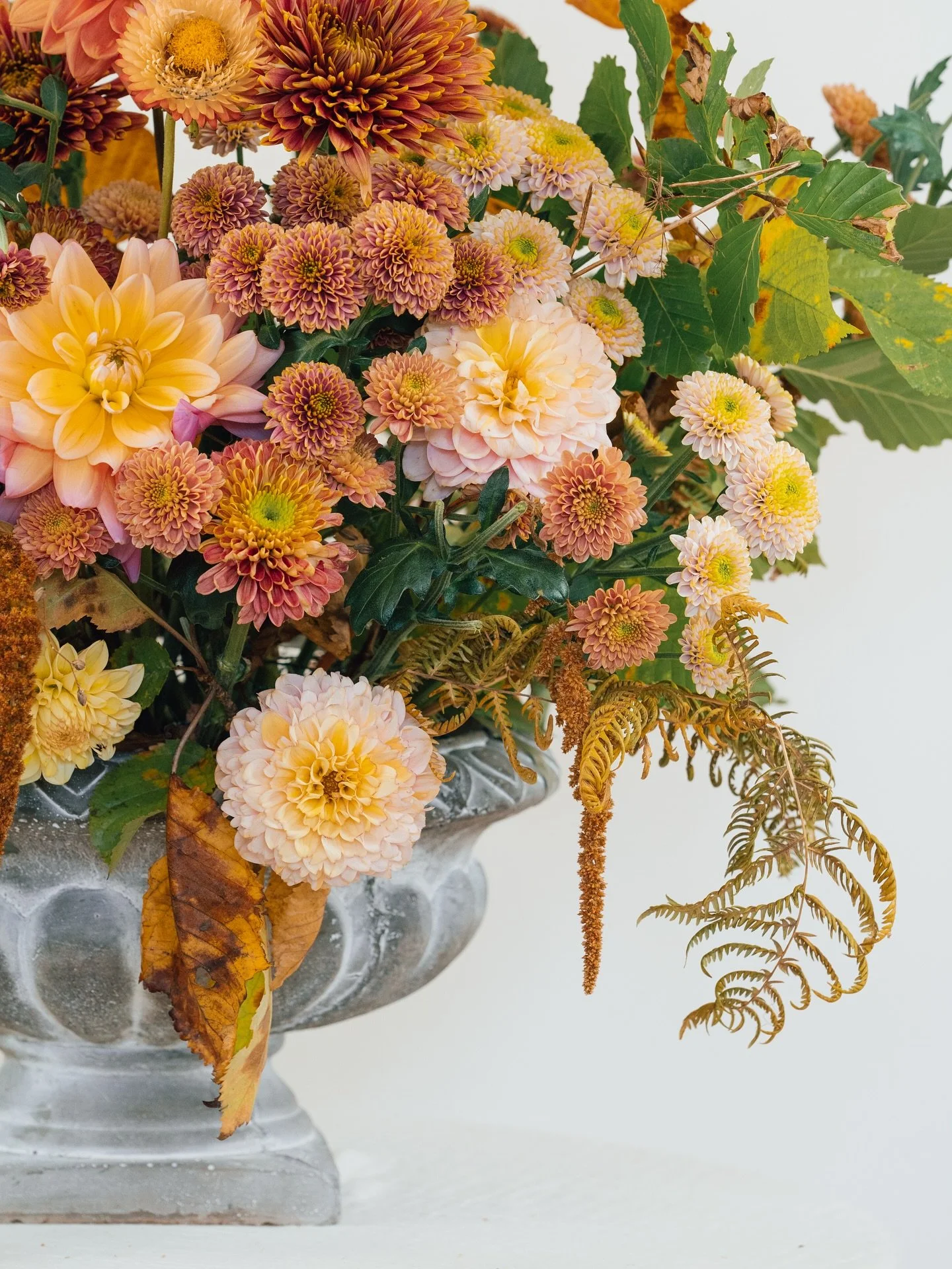hello! 🌸💐🌾🌻

I&rsquo;m just easing back into things after taking some time off these past two weeks - including a much-needed break from Instagram (my first proper one since starting flowers by grace!)

I&rsquo;ve jumped back in with ordering som