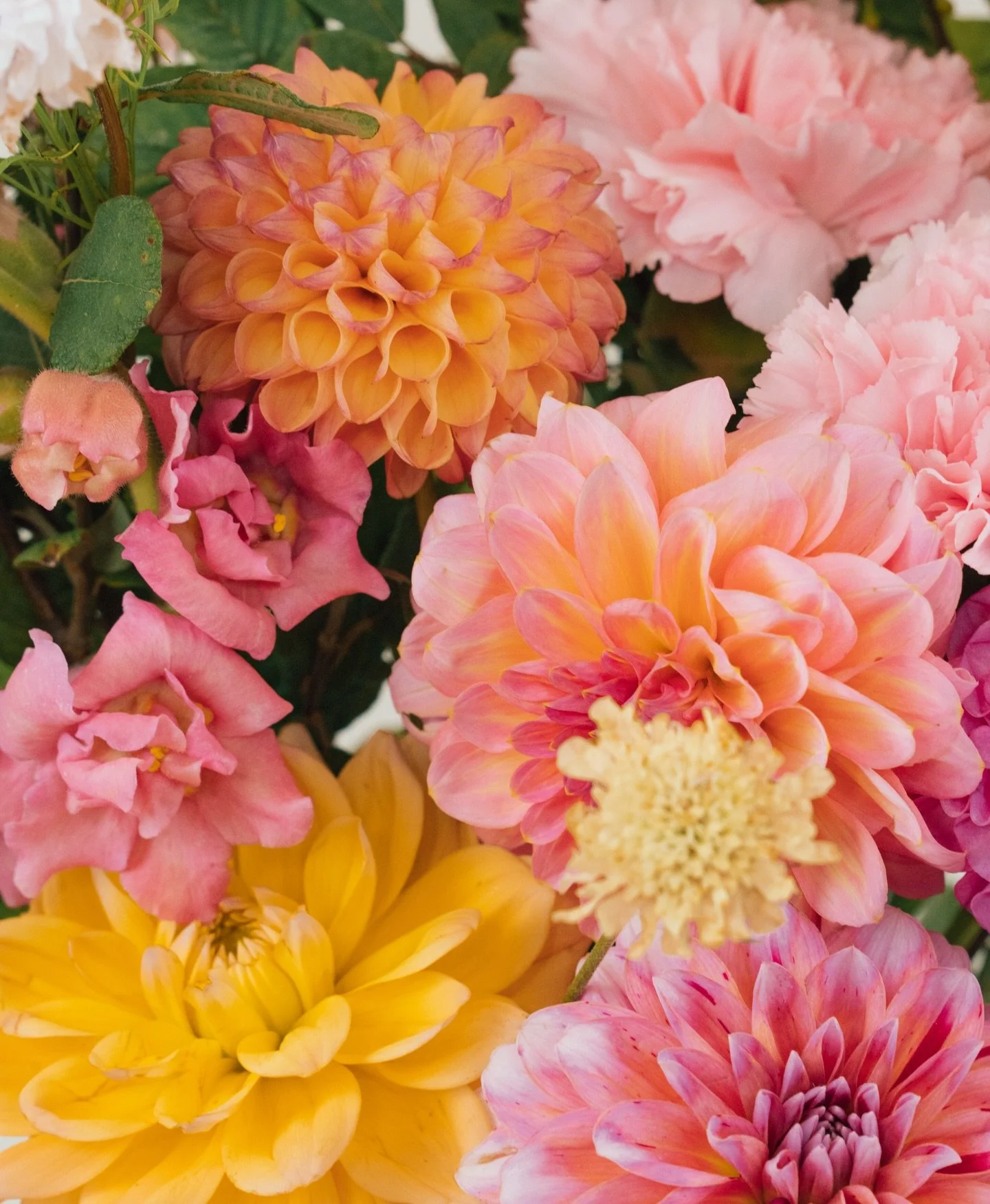 swipe to take a peek at my mother&rsquo;s day bouquet mood board 🌸➡️

I&rsquo;ve got availability for a few more orders of my mother&rsquo;s day bouquets - I&rsquo;ll be closing orders this weekend so if you&rsquo;d like to treat a loved one drop me