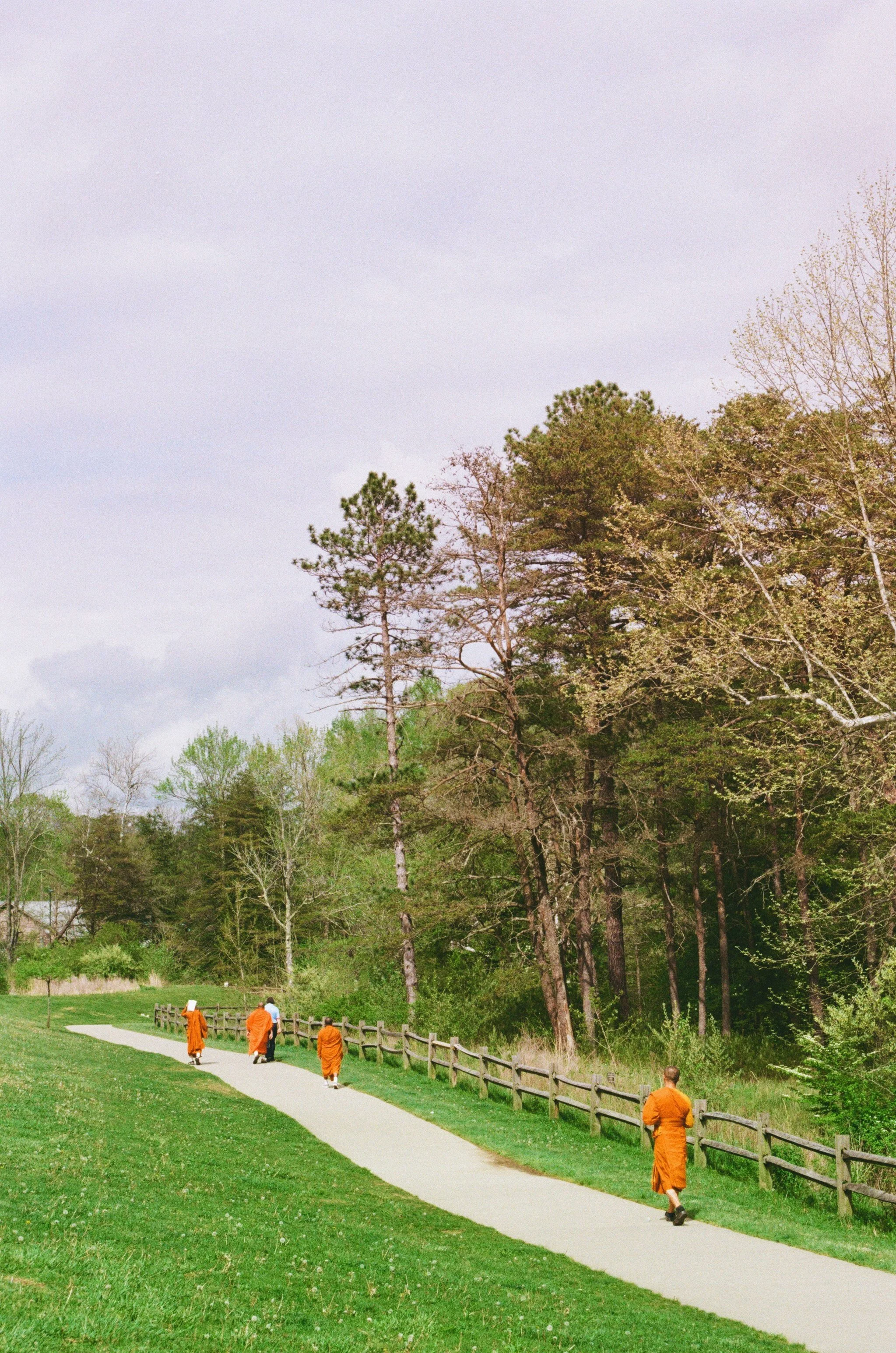 5A247AB3-0B86-4481-B25E-054E93C9B492 2.JPEG