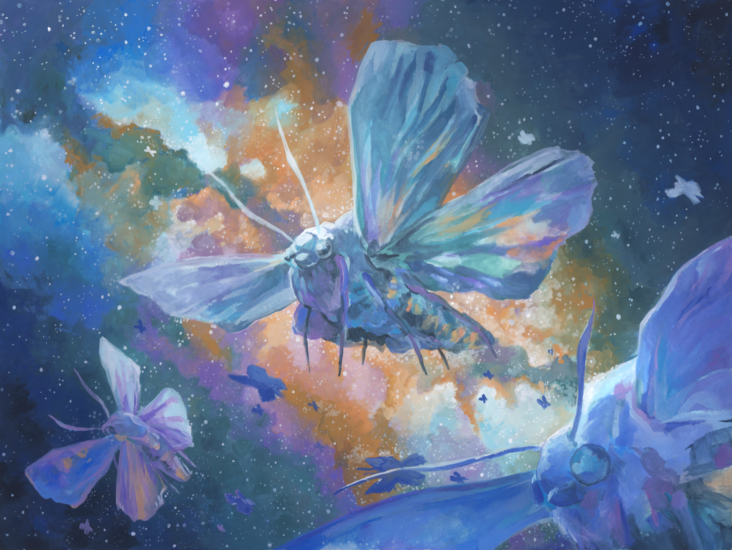 MothGuacheResize_Fall2025.png