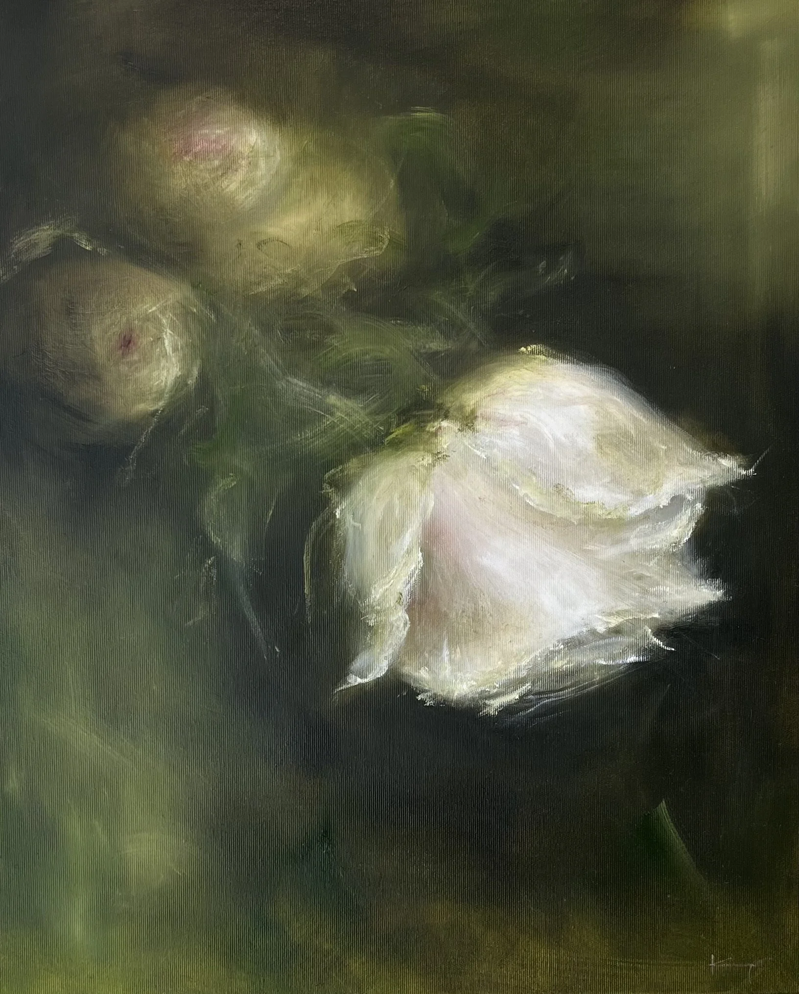rose 3