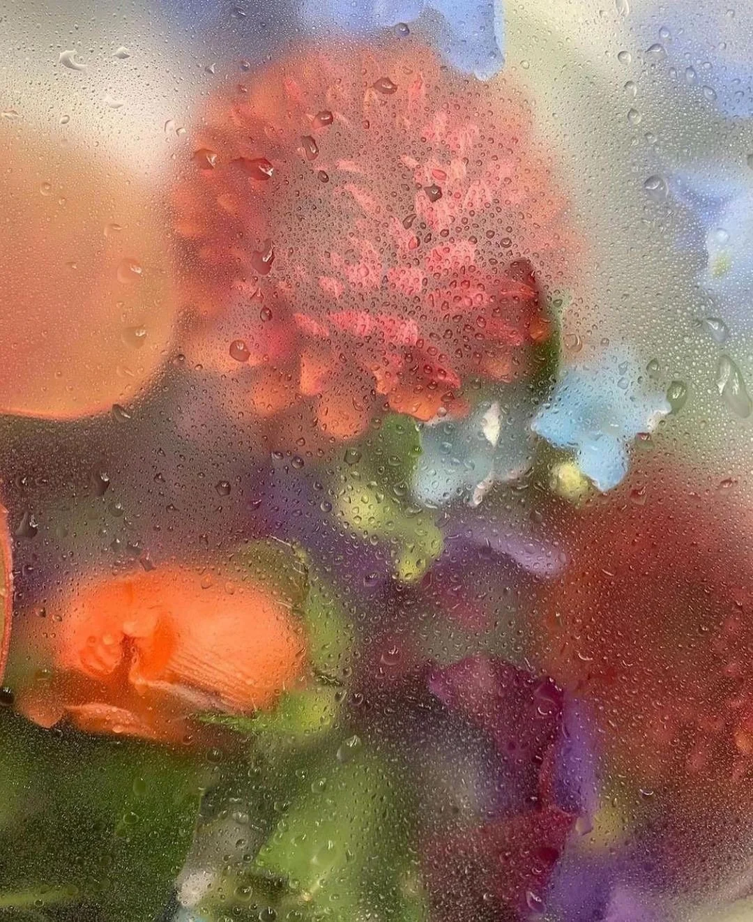 SAVVY's first year: what I learned about building from identity