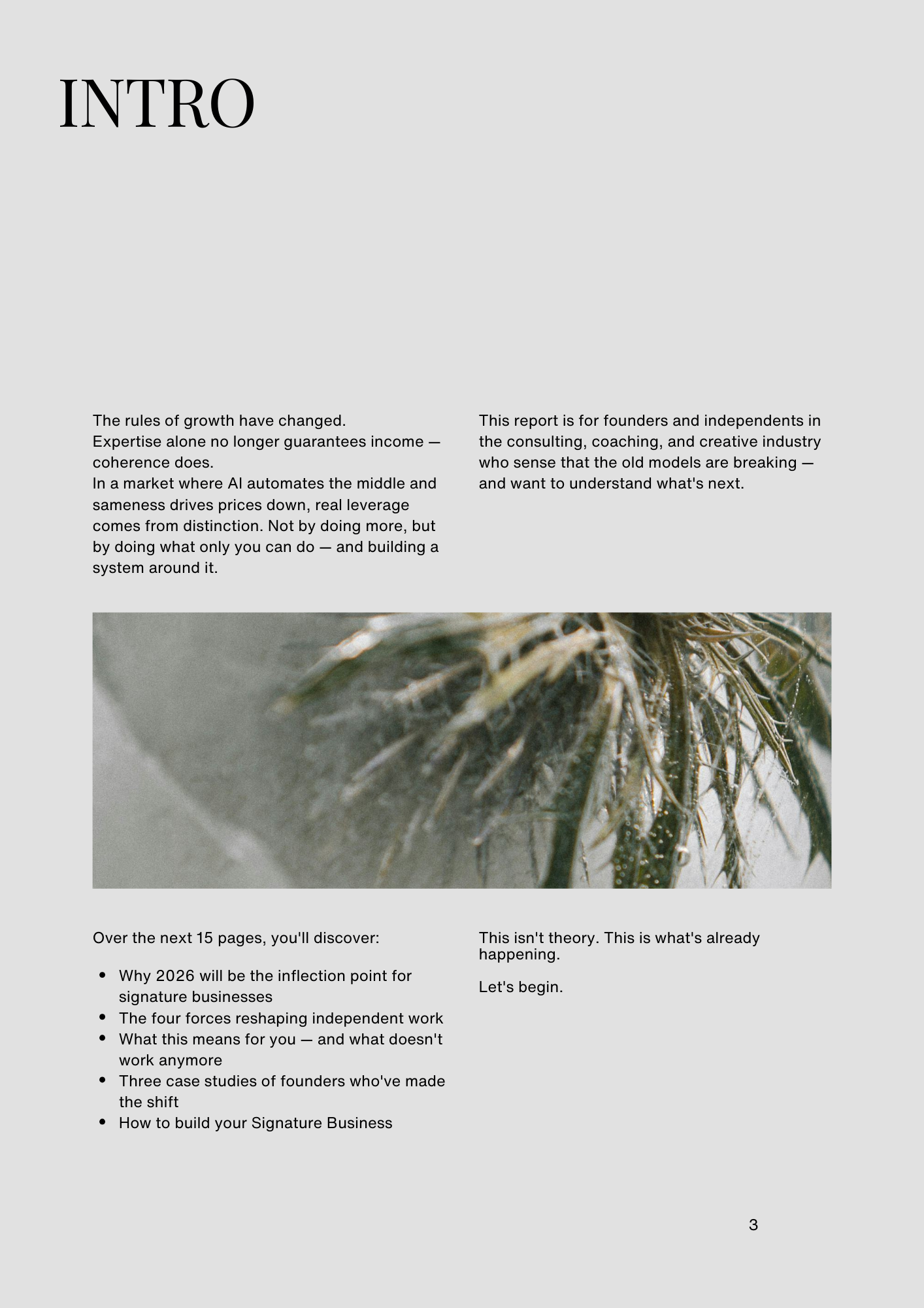 A page from a report featuring the title 'INTRO' with introductory text on the left and right, and a central image of wet pine branches. The page includes a bullet list of upcoming topics and a closing statement.