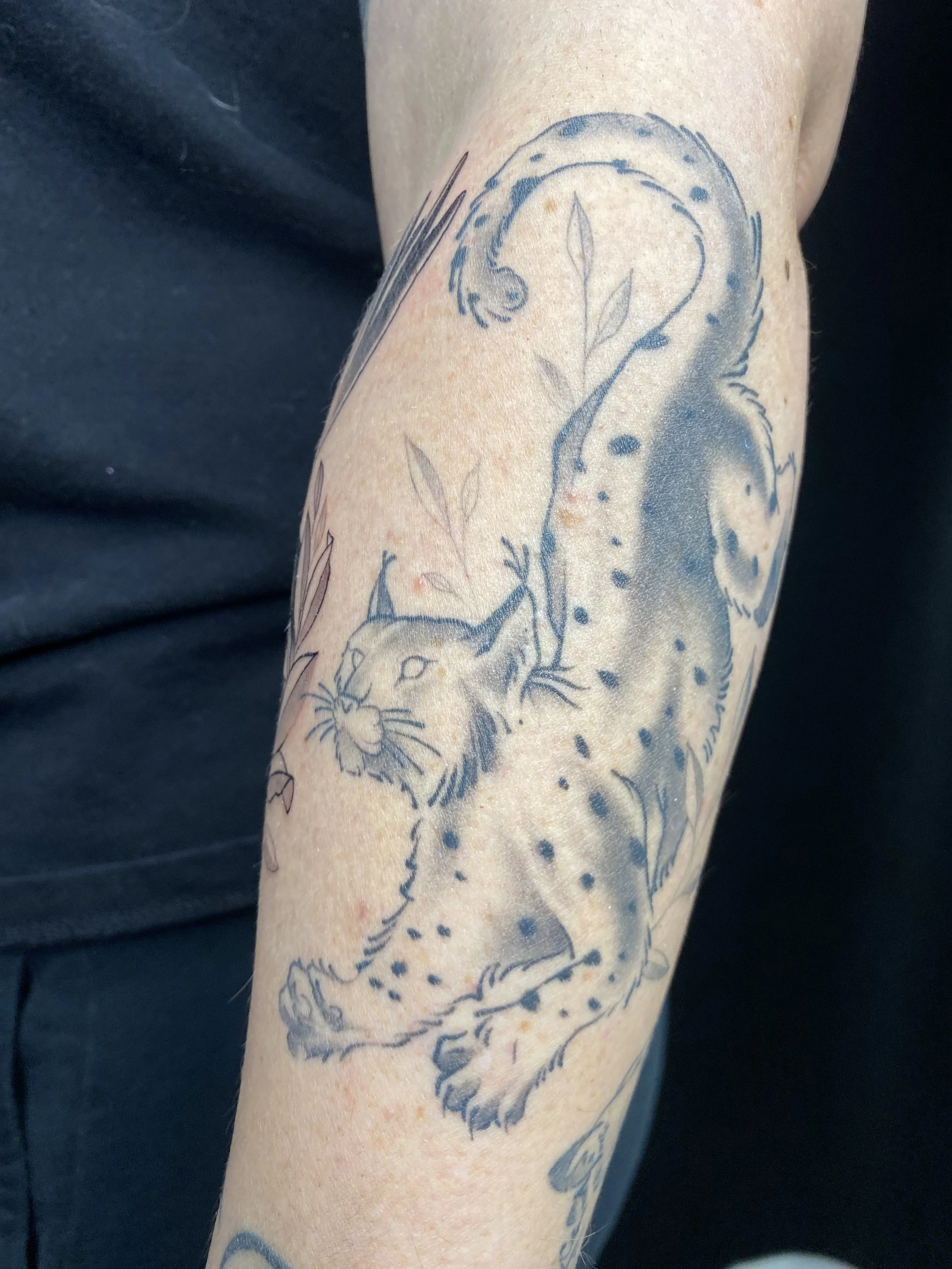 Healed fineline black and grey large cat, smooth black and grey shading, soft shading, delicate lines