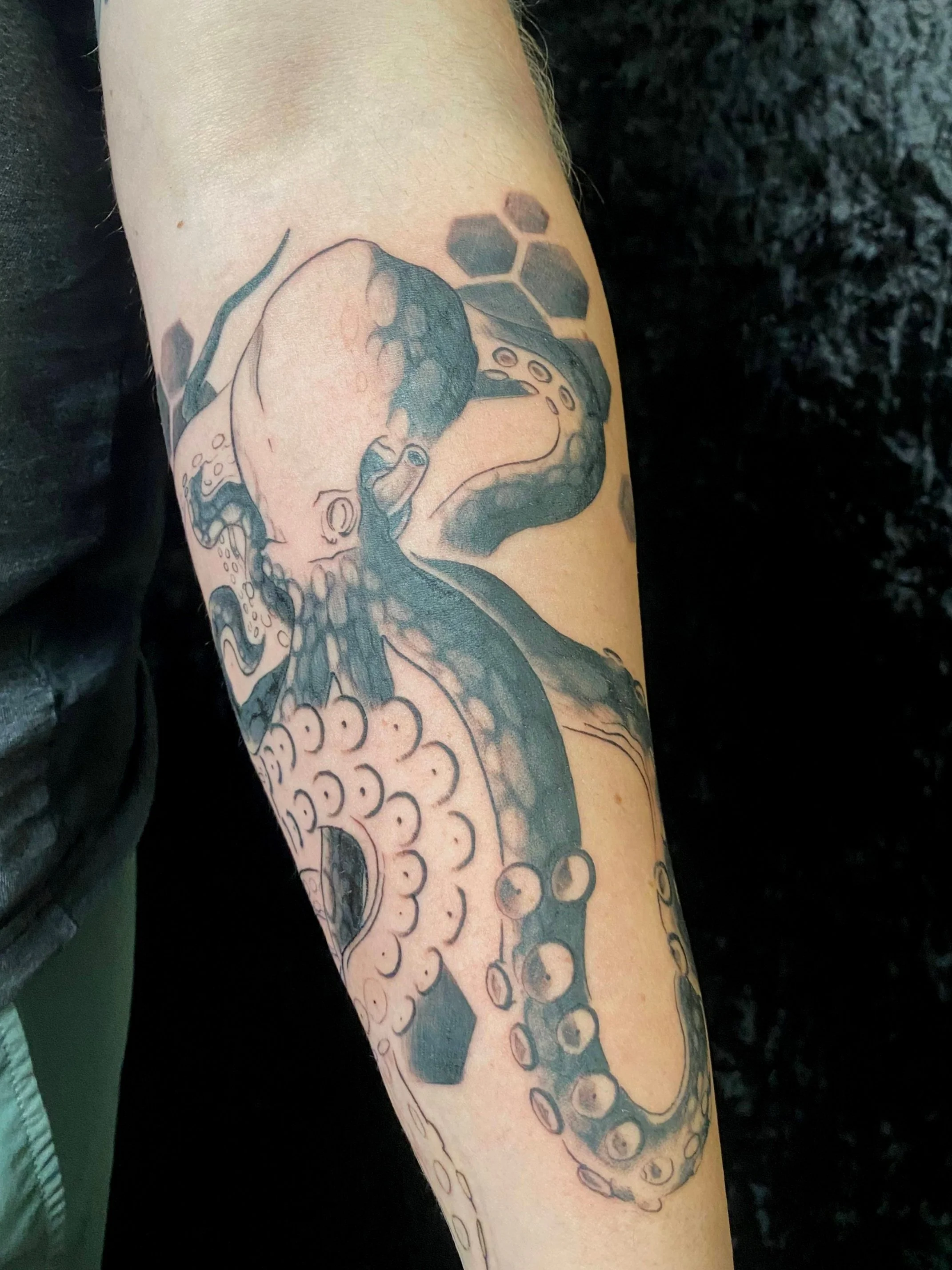Illustrative black and grey octopus