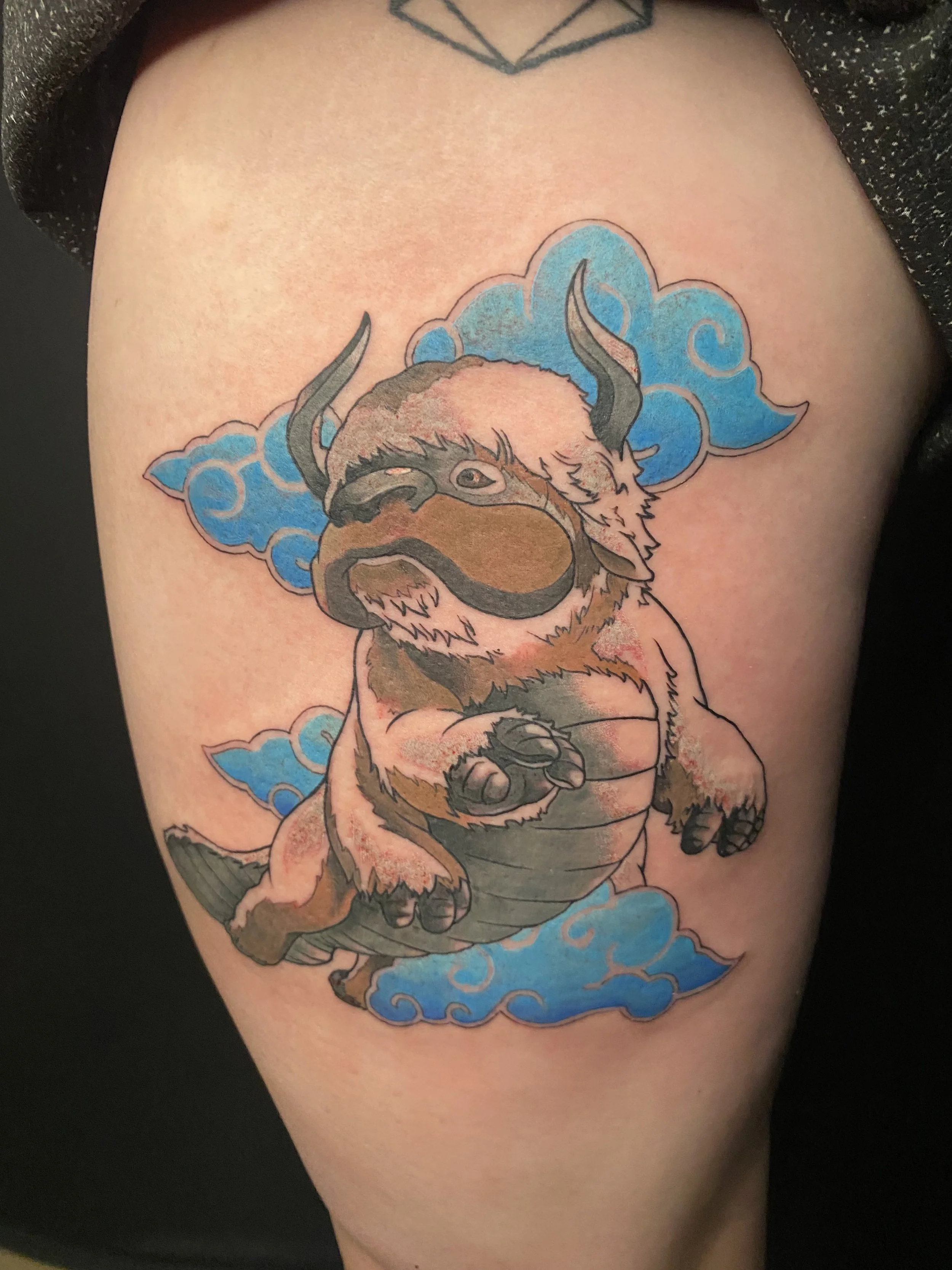 Full color Appa from Avatar the Last Airbender