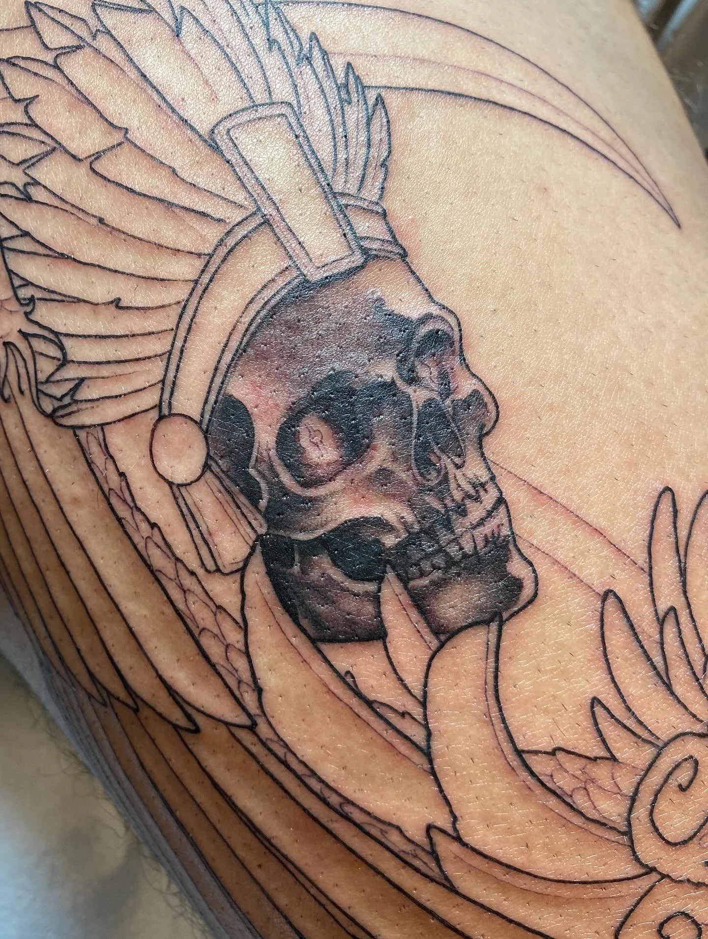 Illustrative skull with native american elements, realism, realistic black and grey shading, smooth shading