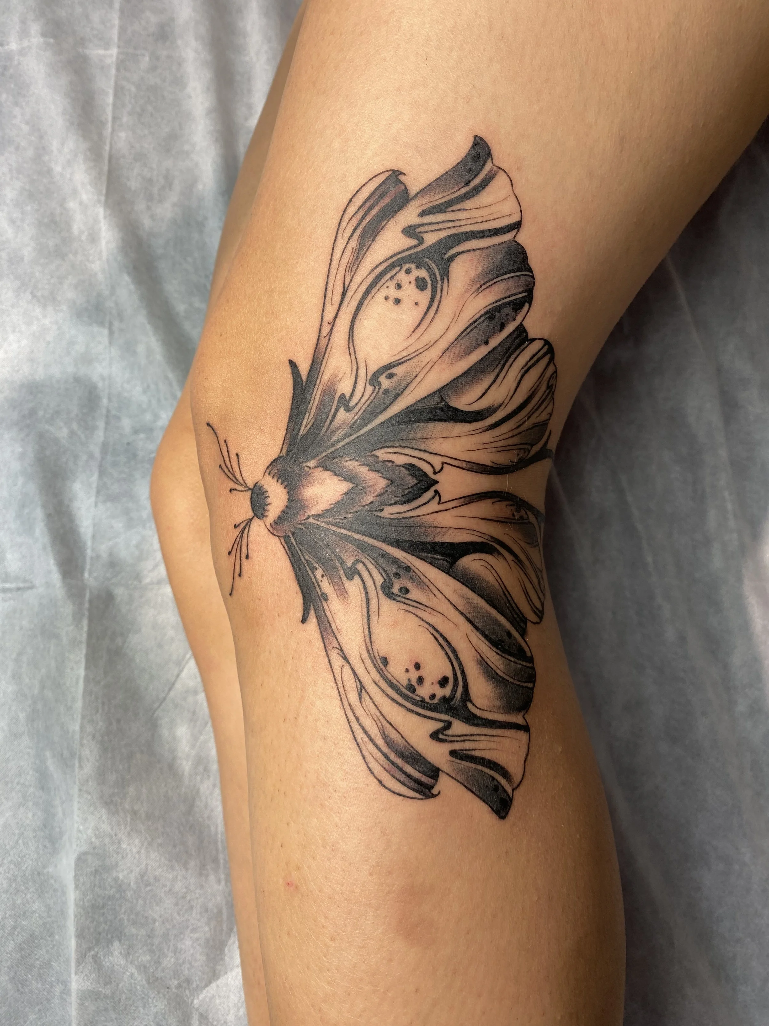 Black and grey moth with abstract blackwork, smooth shading, blends to skin, and strong design