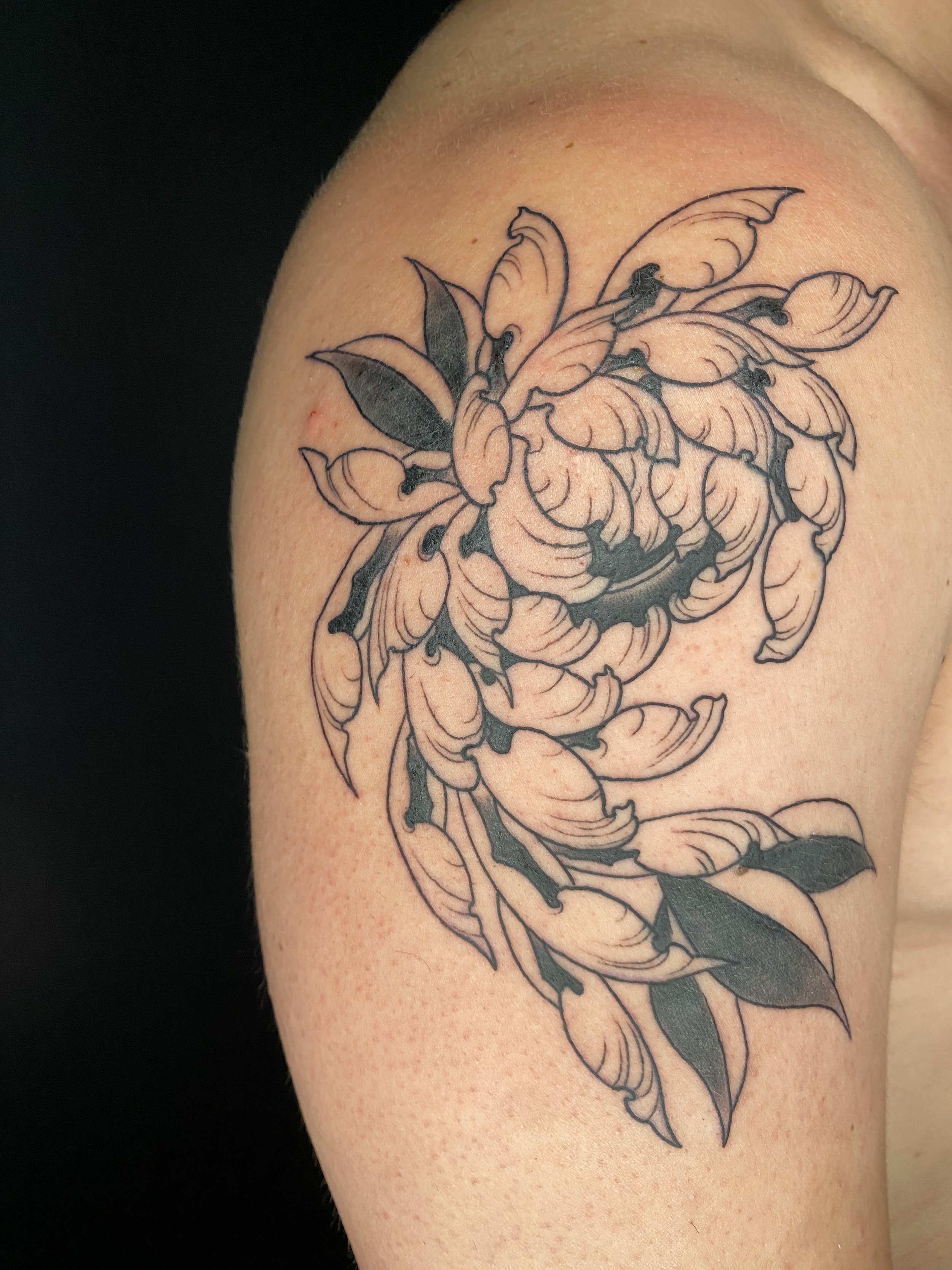 Black and grey stylized chrysanthemum