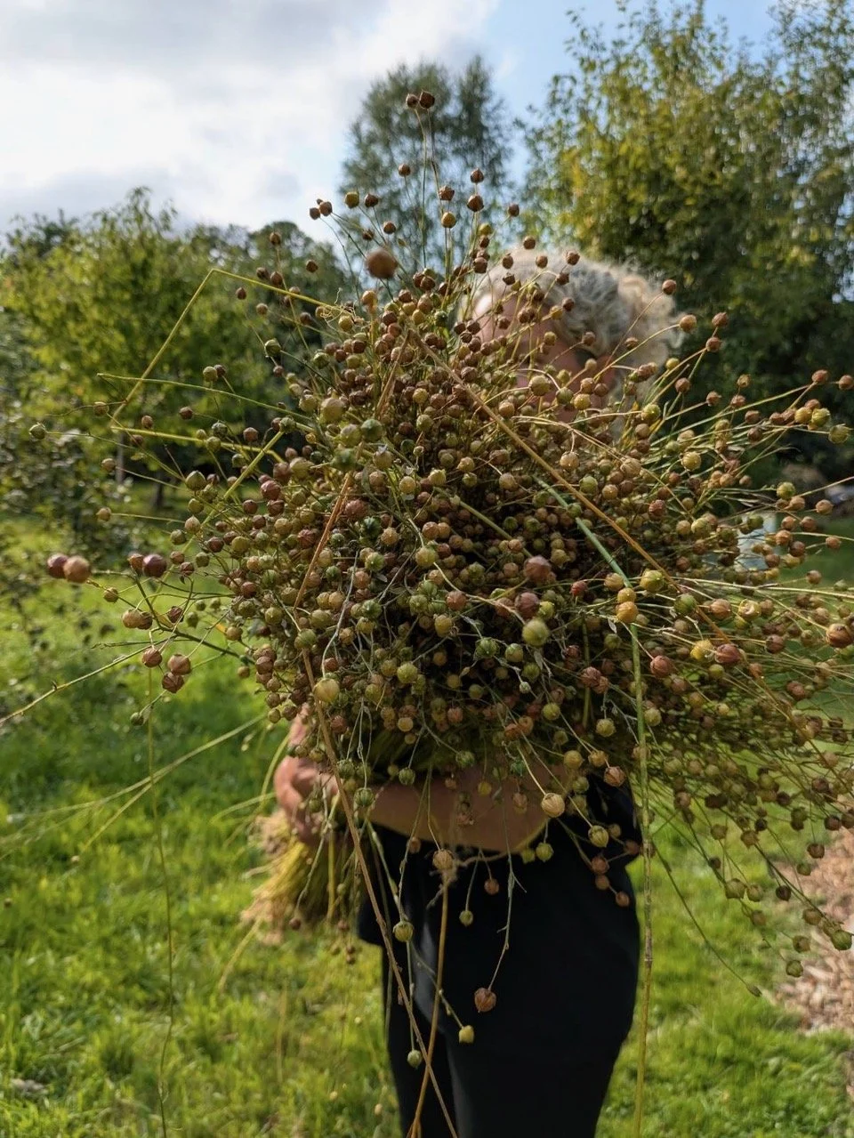 Commoning, diversity, and small-scale manufacturing: drawing parallels between bread and linen