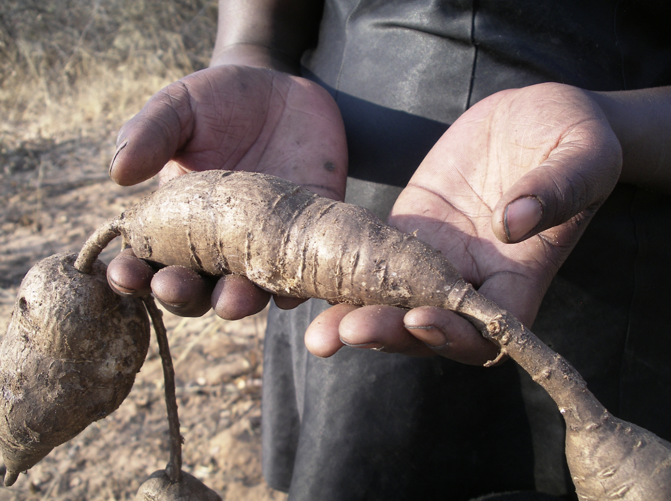Remembering in a Field of Enquiry