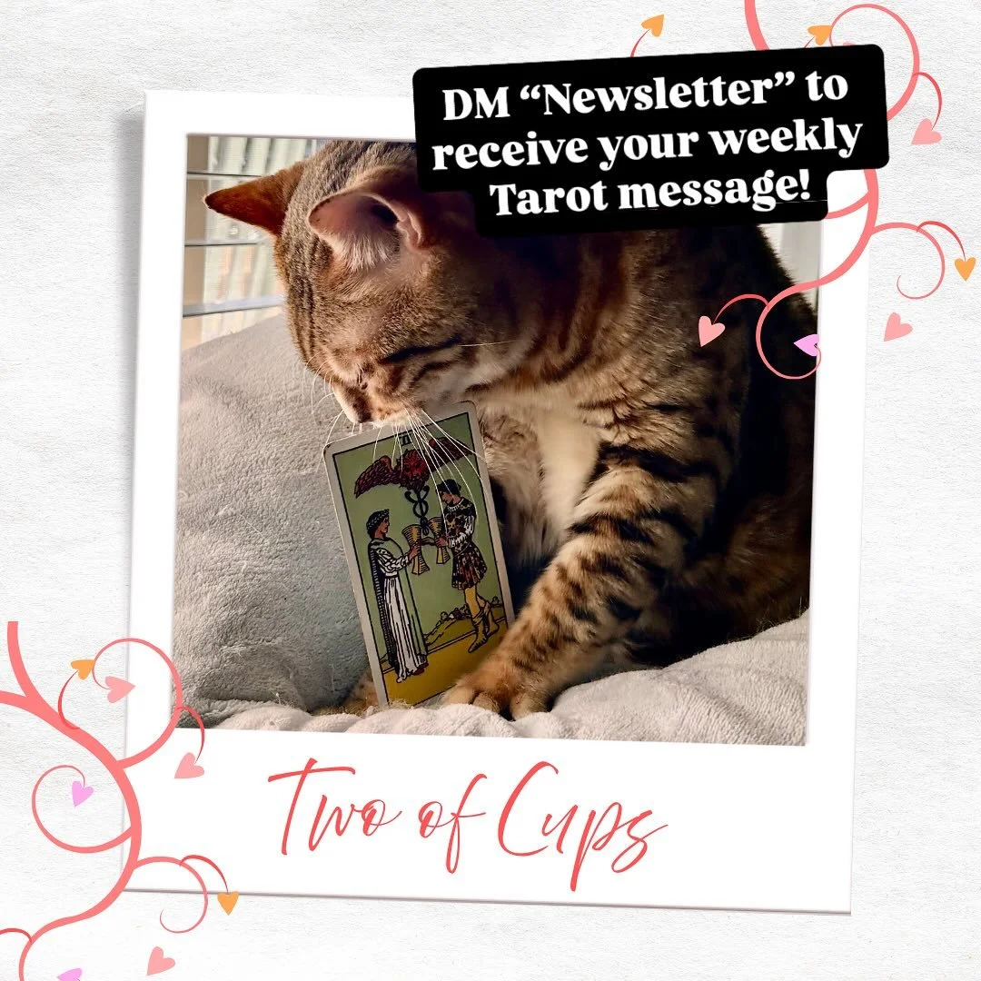 Here&rsquo;s a sneak peek of next week&rsquo;s Tarot message! ✨Every Monday, I send out a newsletter with a weekly Tarot Message, a Spirit Tip, and the Moon energy for the week ahead! 
DM &ldquo;Newsletter&rdquo; to receive your weekly insight in you