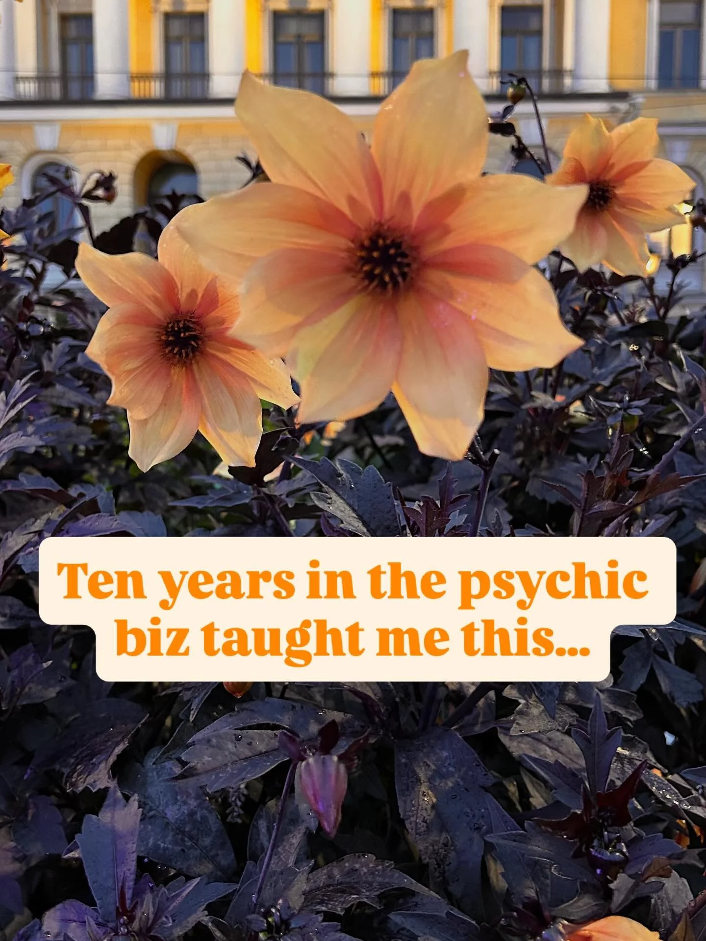 The more aligned you become, the less you have to chase.
When your business flows from purpose, clients find you naturally &mdash; because your energy speaks louder than any ad ever could. 🌼

✨ Comment STAR CODED if you&rsquo;re ready to grow your b
