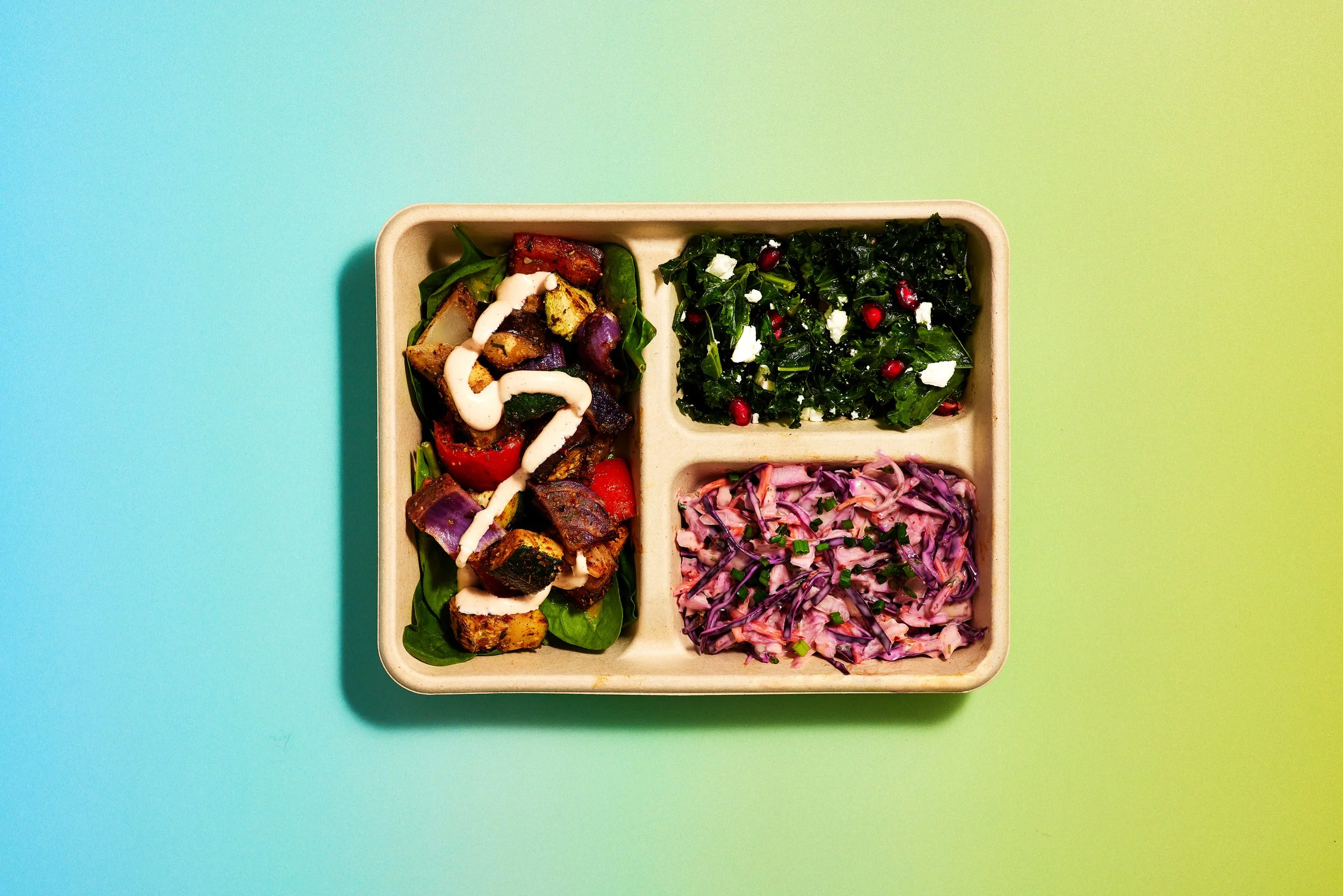 Funky Elephant Galley | Caribbean Fusion Street Food — FUNKY ELEPHANT