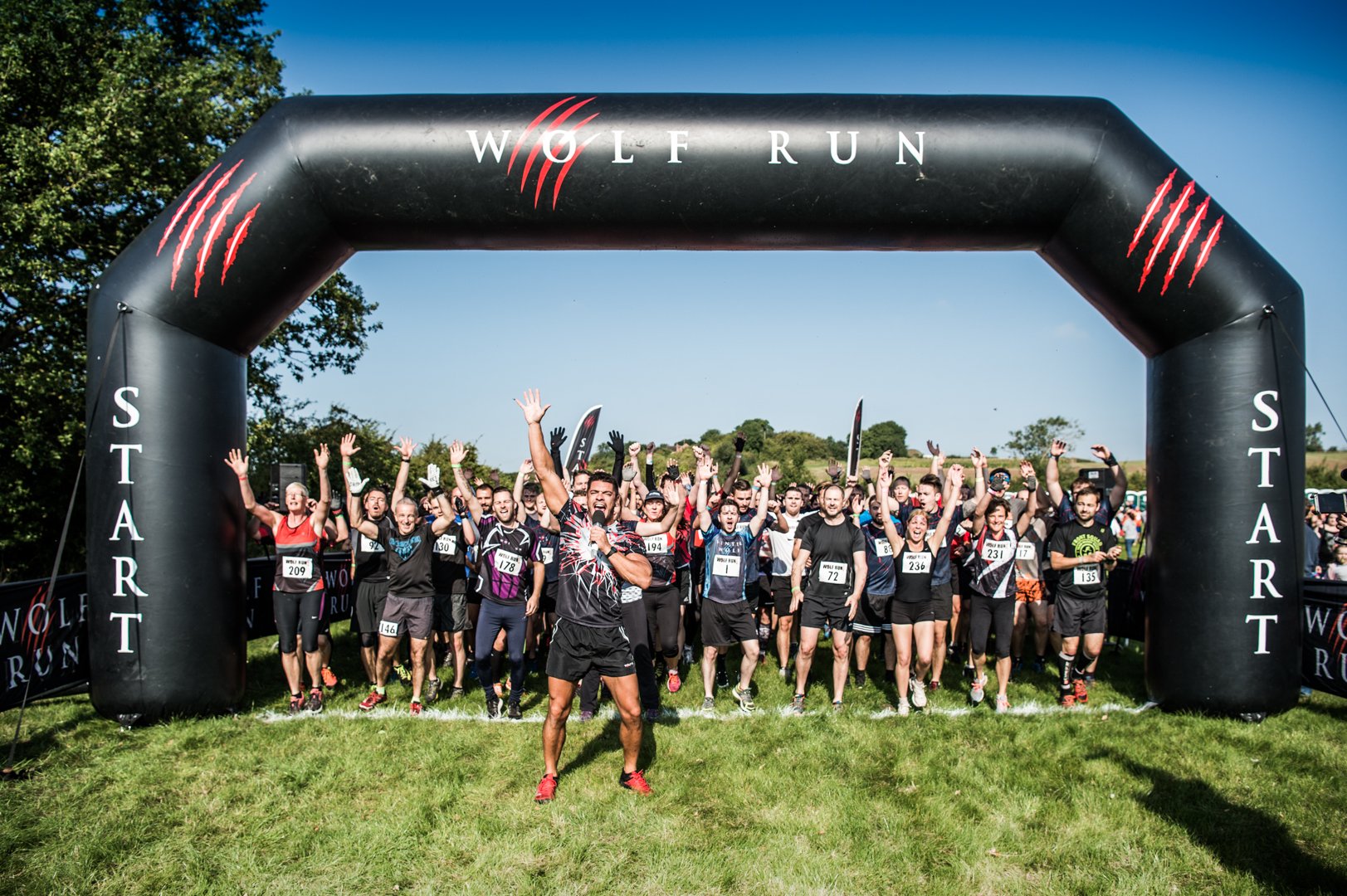 The Wolf Run