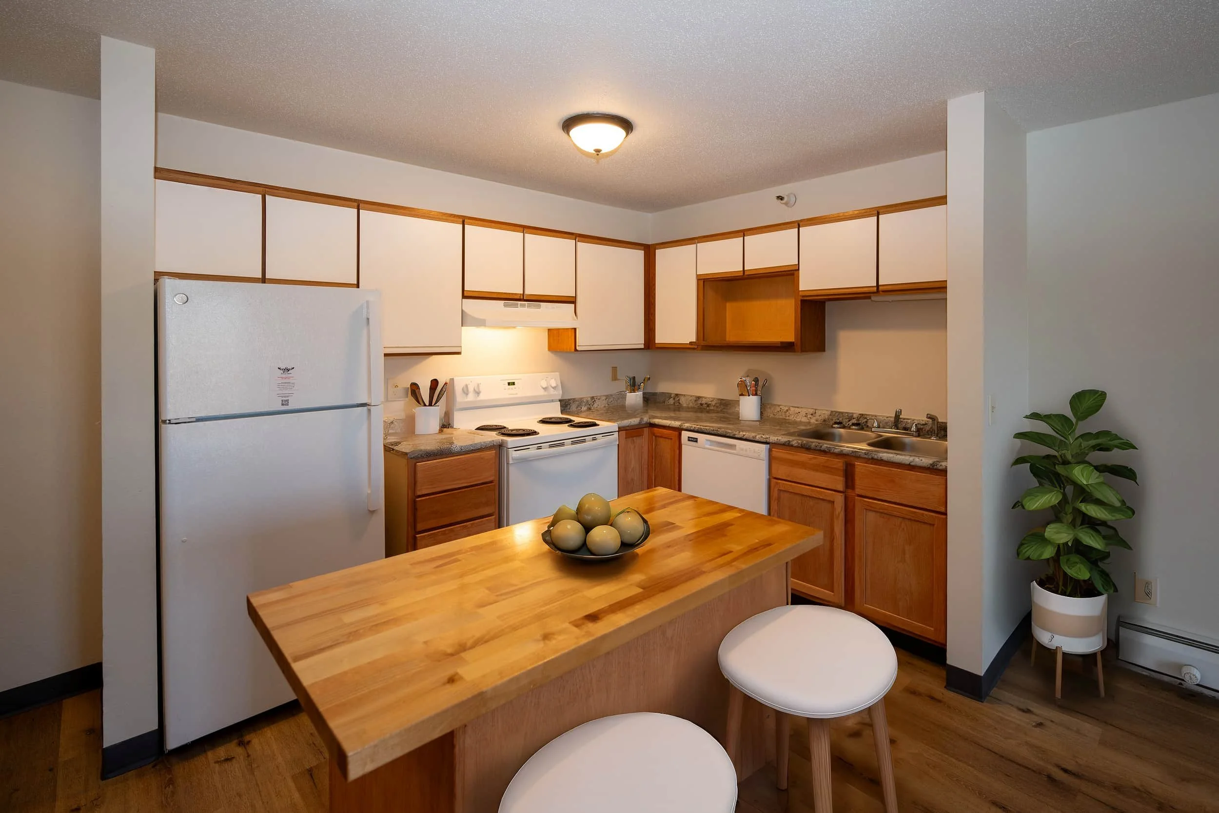 Modern kitchen in apartments in Rochester features white appliances, wood cabinets, an island with fruit, stools, and a potted plant.