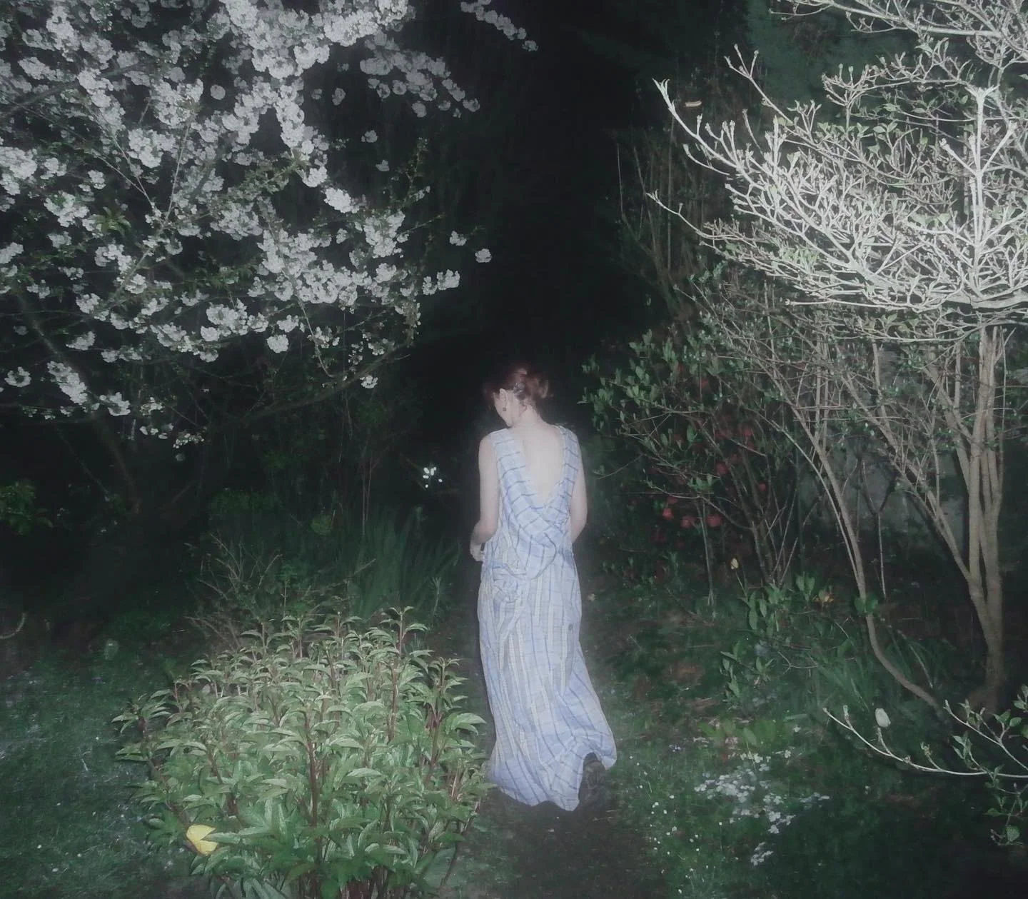 WhatsApp Image 2024-12-24 at 22.39.18 (2).jpeg