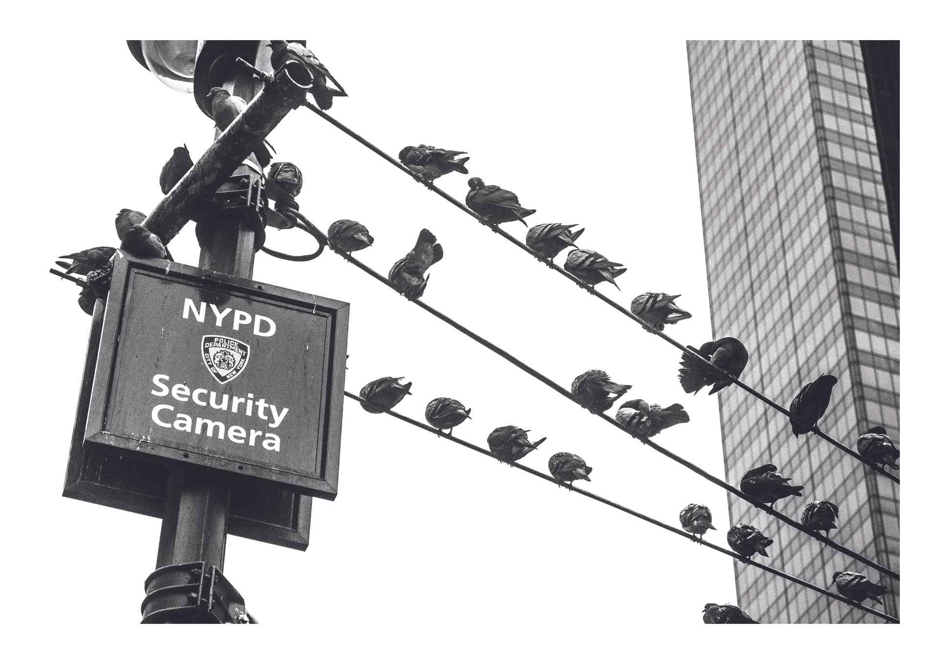 NY_Camera.jpg