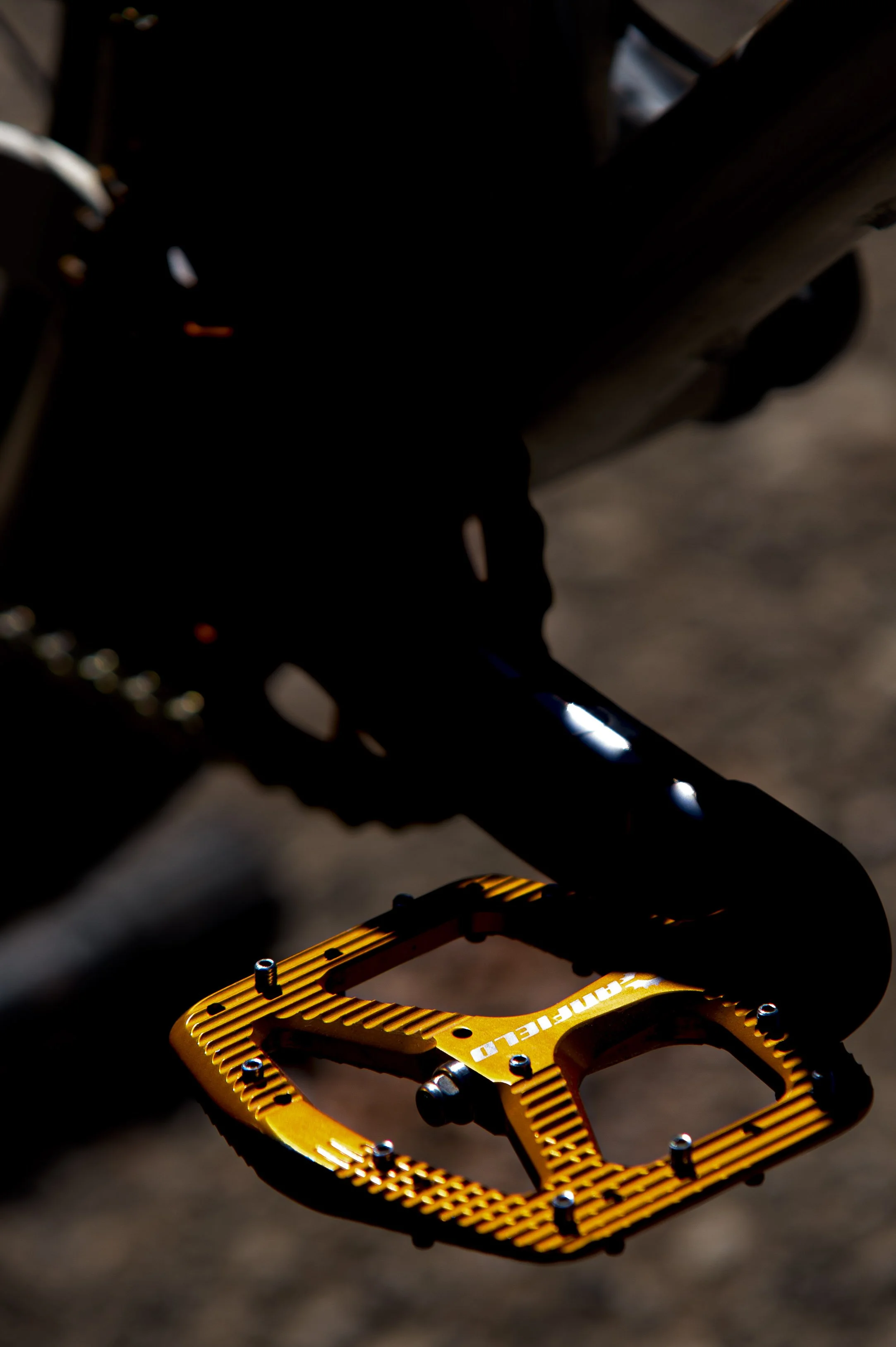 _MTB3276.JPG