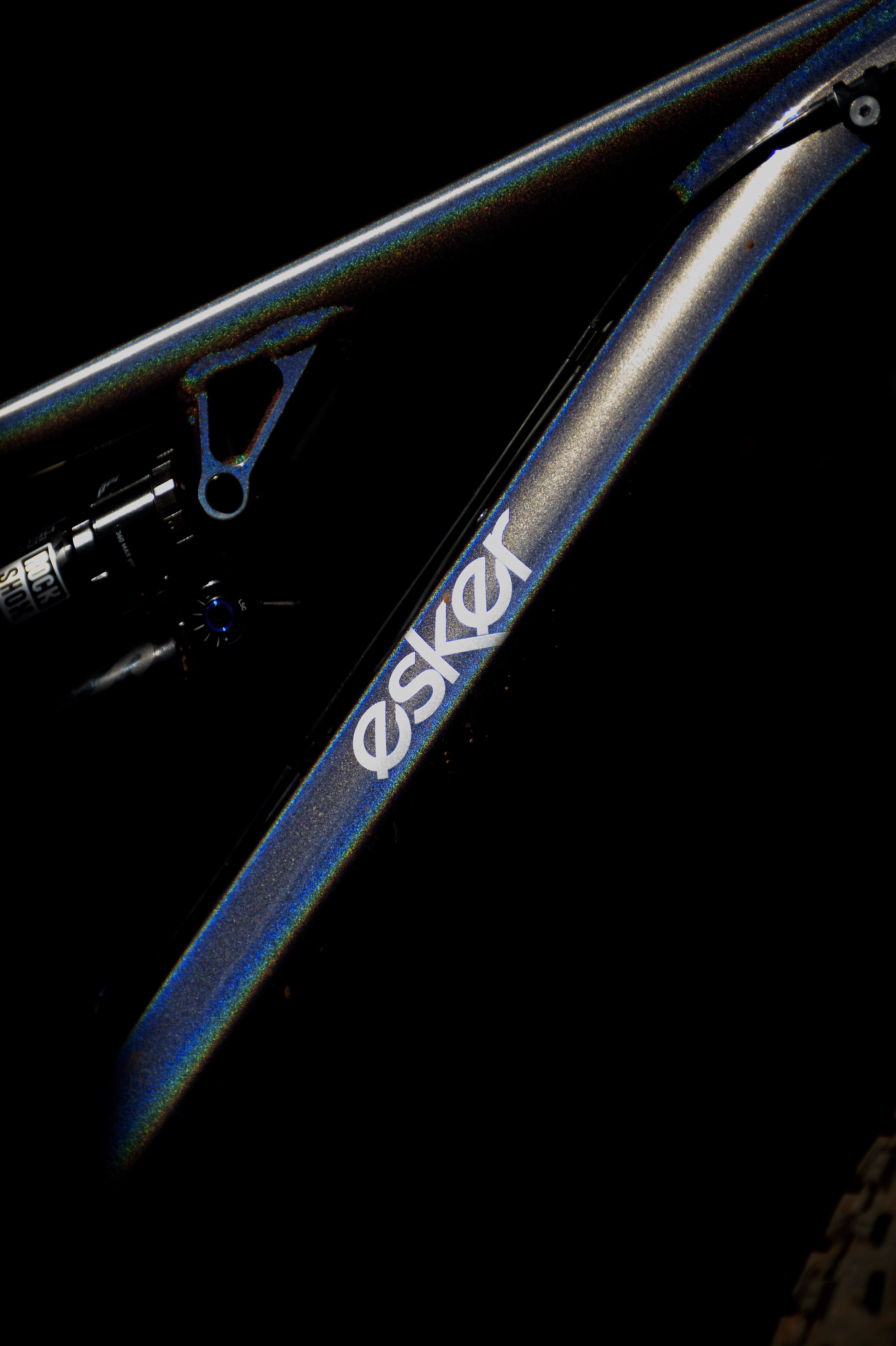 _MTB3641.JPG