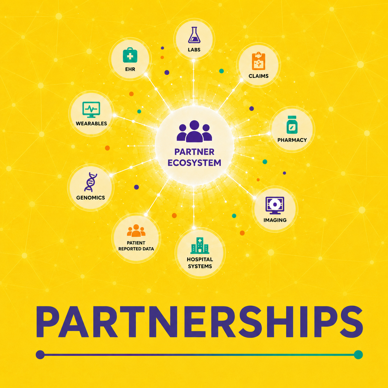 Why Partnerships Matter in Building Better Data 