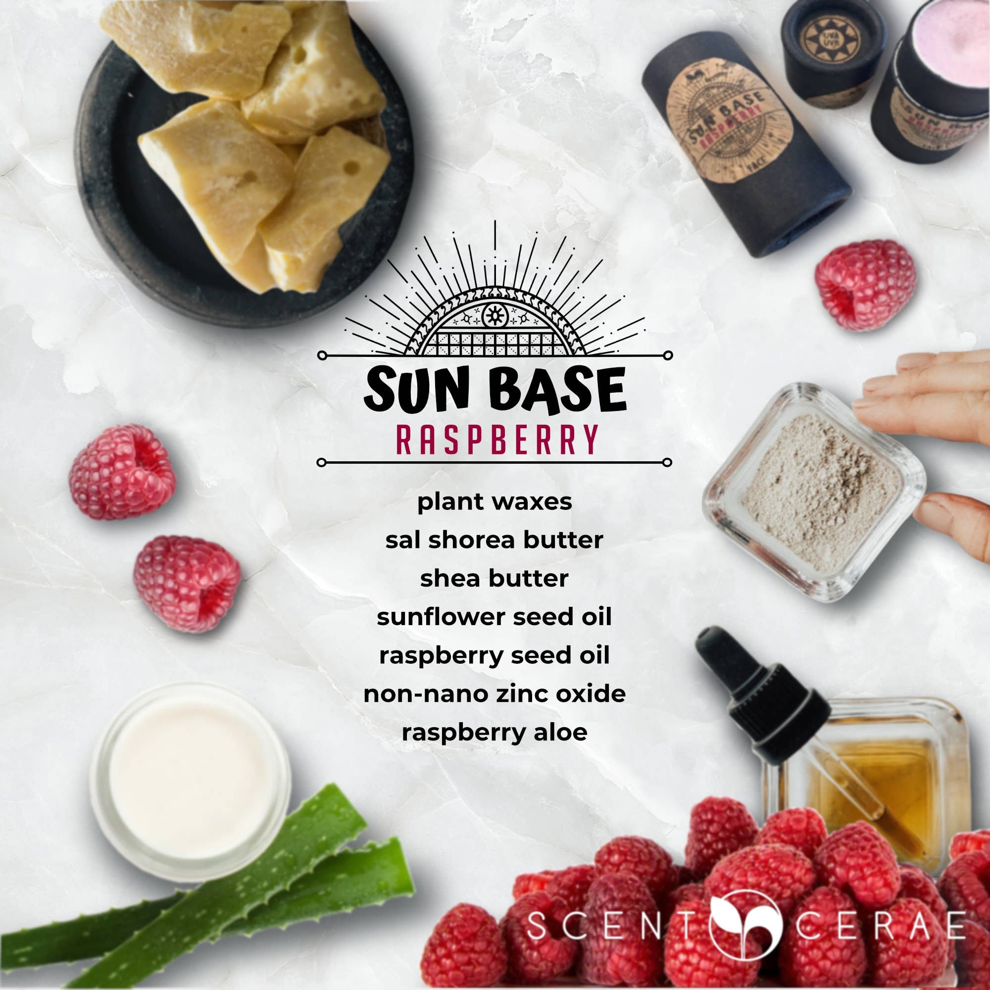 sun-base-raspberry-zinc-full-size-push-up-7.jpg