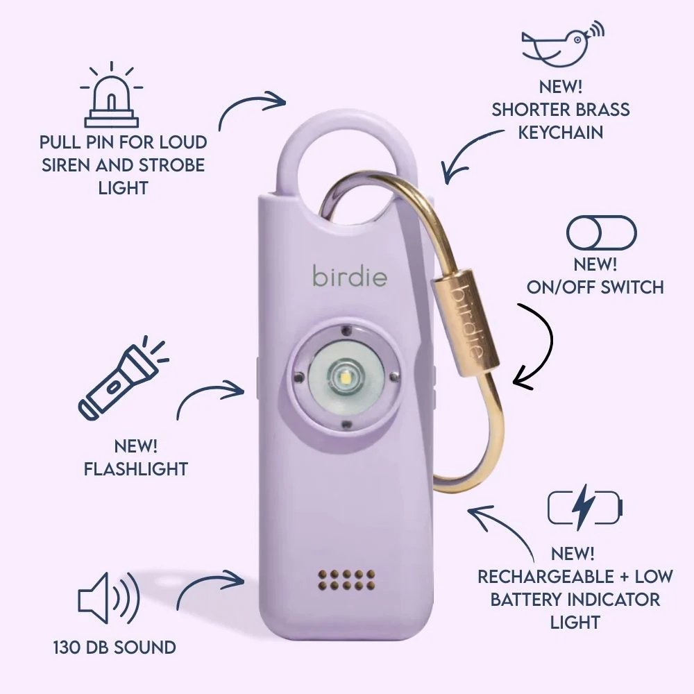 Birdie_3.0_Explain.jpg