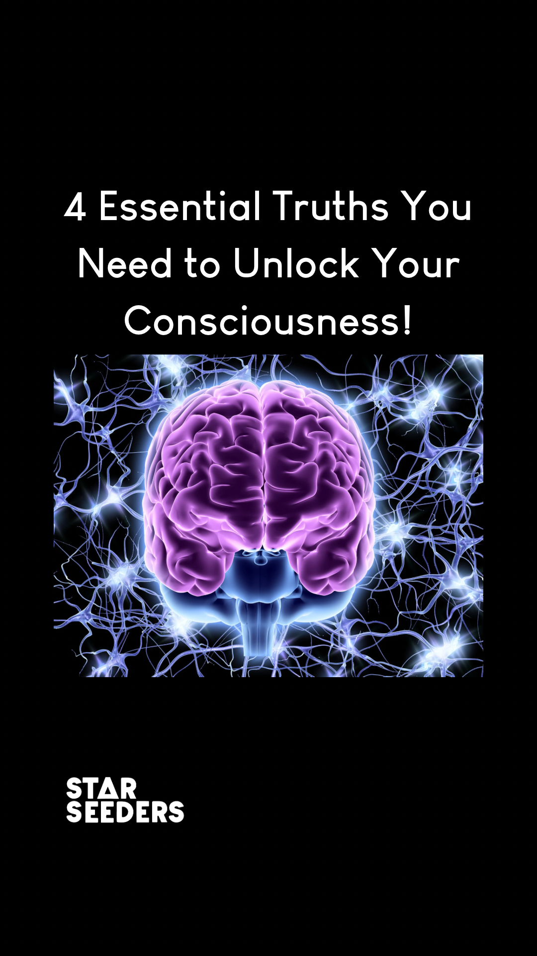 Unlocking the Potential of the Frontal Lobe: The Essence of Human Consciousness